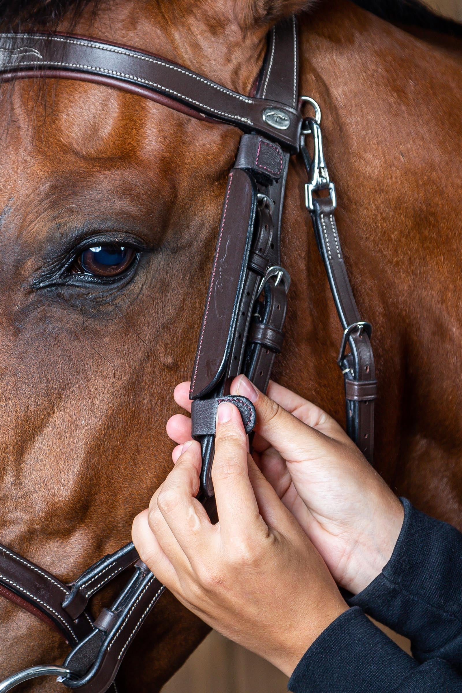 Dy'on Working Blinkers Bridles & Reins