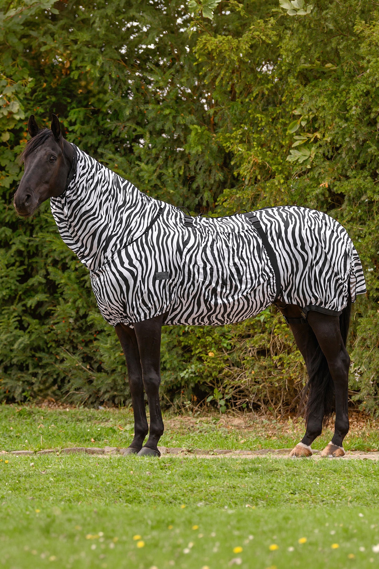 Waldhausen Basic Zebra Eczemer Rug With UV-Protection Horse Rugs
