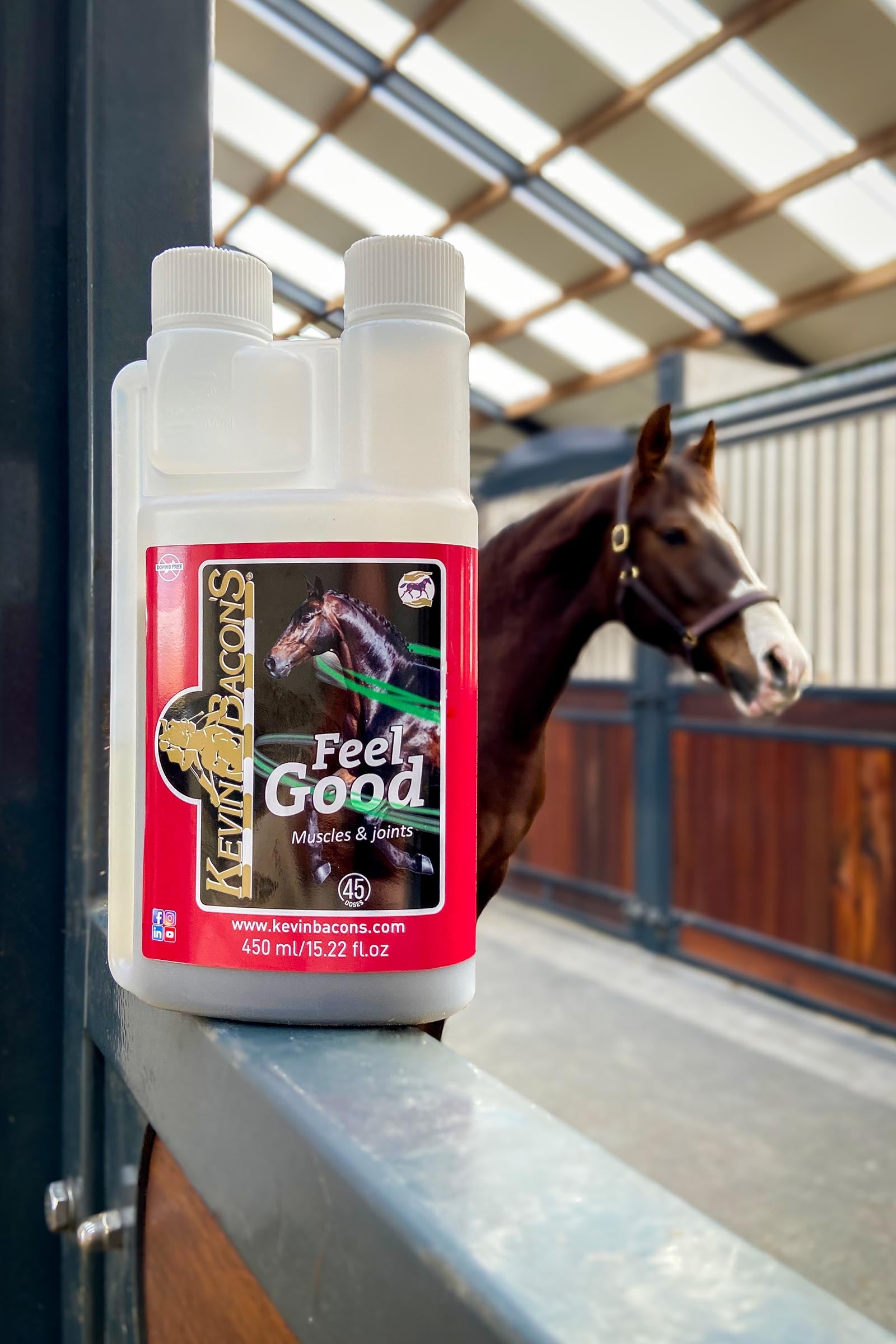 Kevin Bacon´s Kevin Bacon's Feel Good, 450 ml Horse Feed & Nutrition