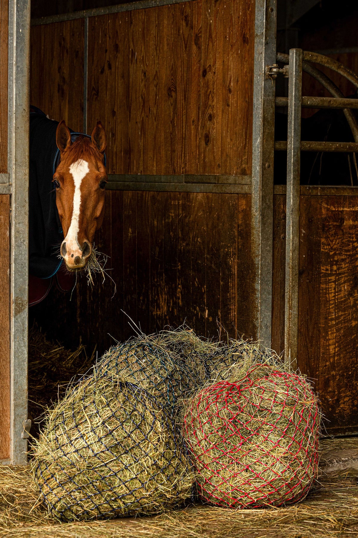 HIPPOTONIC ZARI Hay Net (105 cm), 5 x 5 Mesh Horse Feeders & Waterers