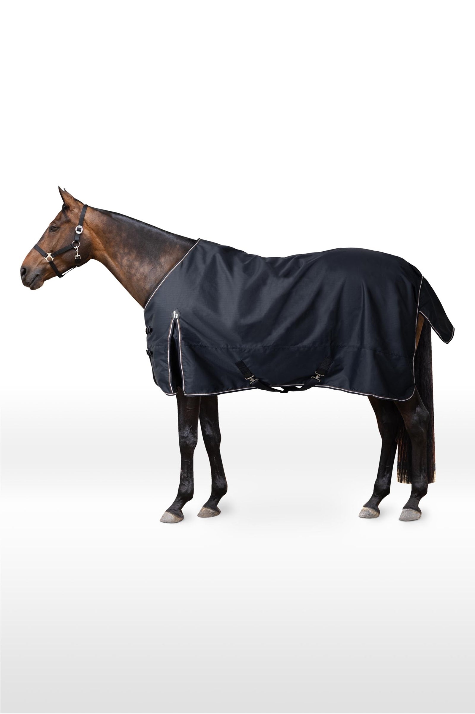 Horze Glasgow Turnout Rug, 300g Horse Rugs
