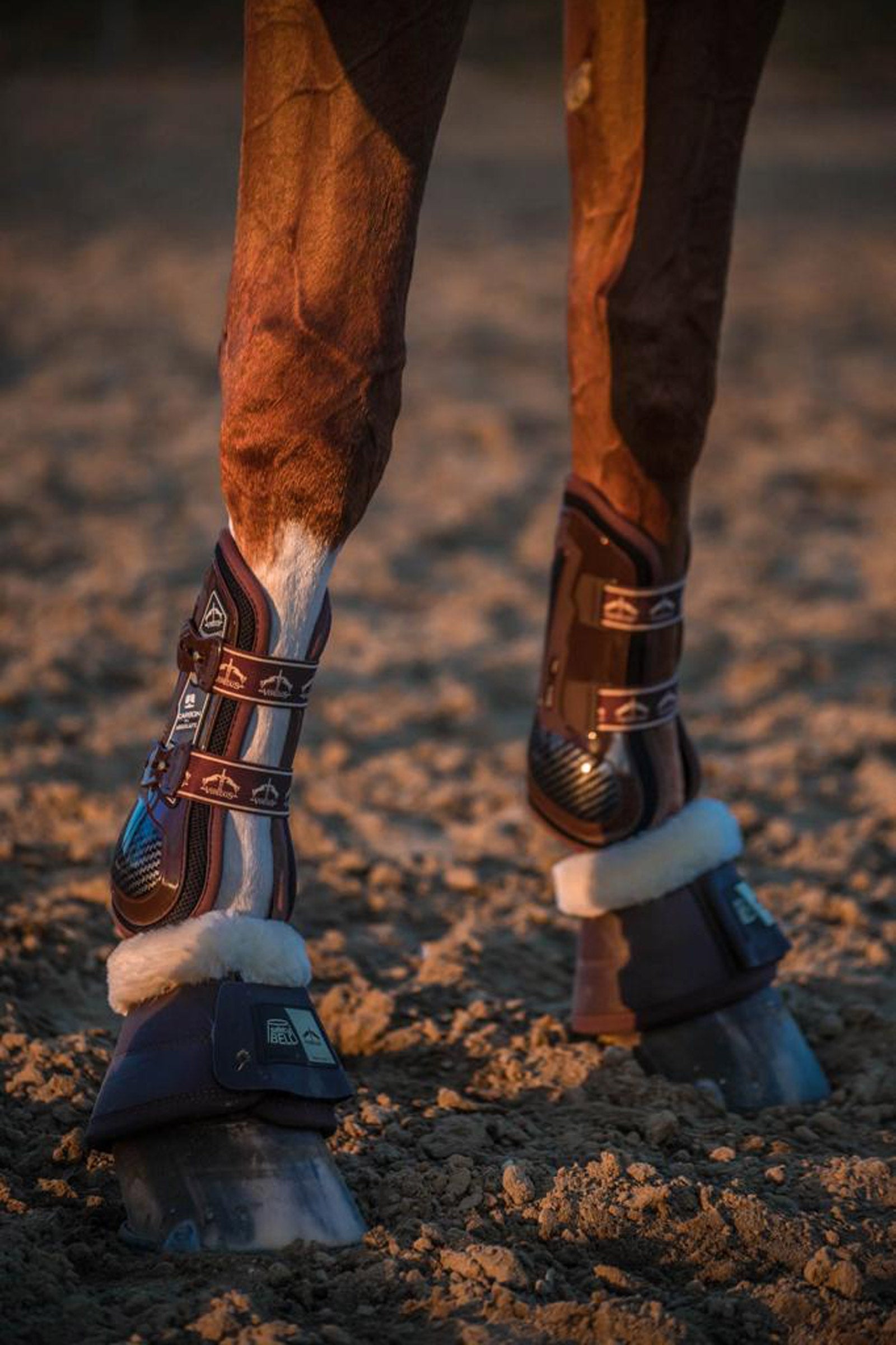 Veredus Carbon Gel Absolute Tendon Boots Leg & Hoof Protection