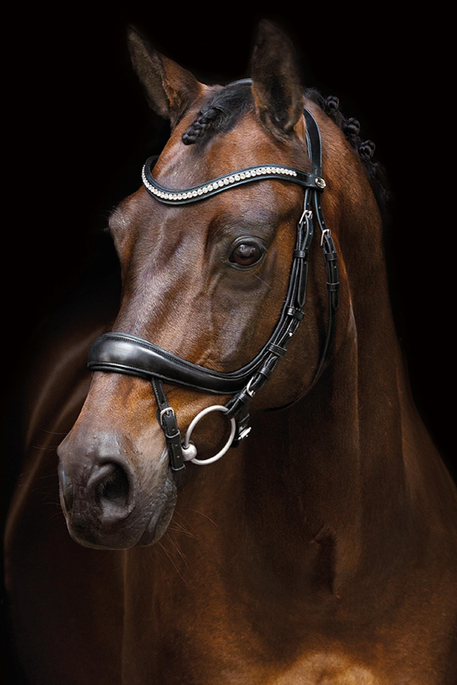 Schockemöhle Sports Equitus Beta Anatomical Bridle Bridles & Reins