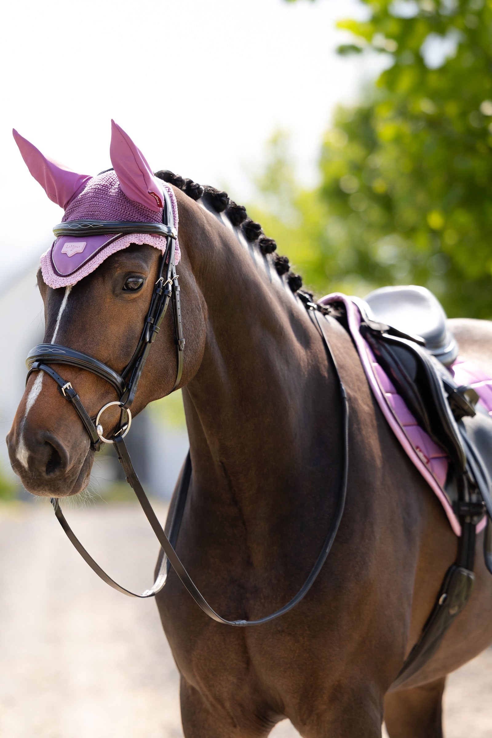 LeMieux Loire Fly Hood Saddle Pads