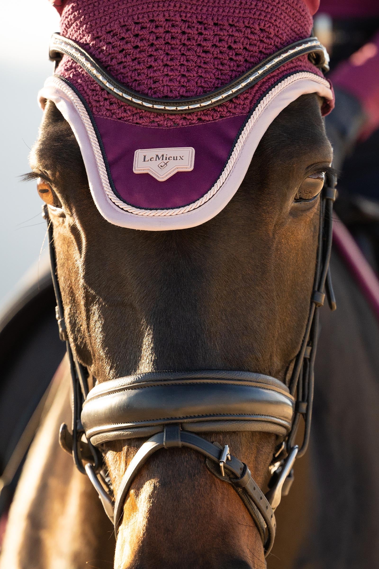 Lifestyle shot 2