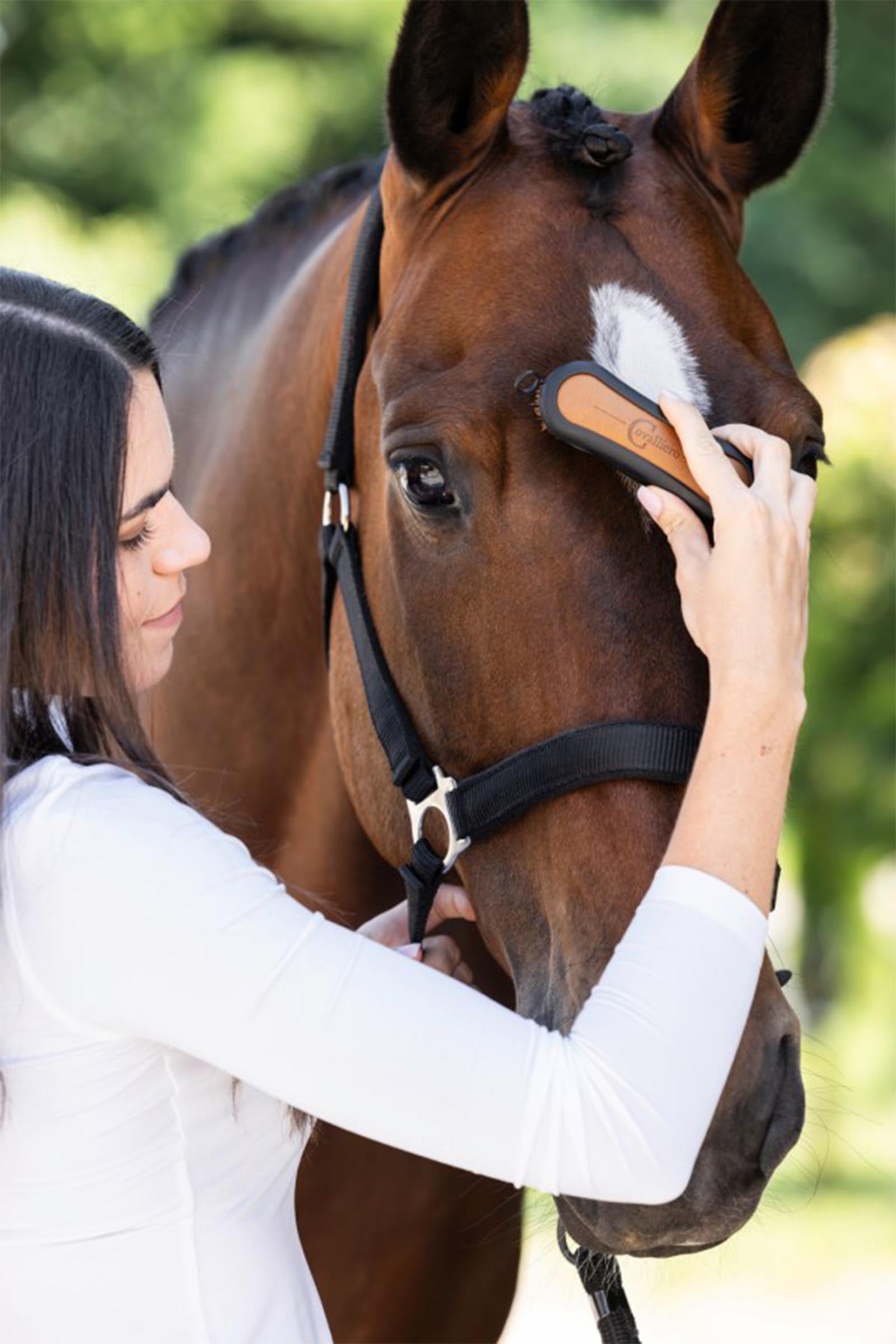Covalliero Deluxe Mini Brush Horse Grooming Tools