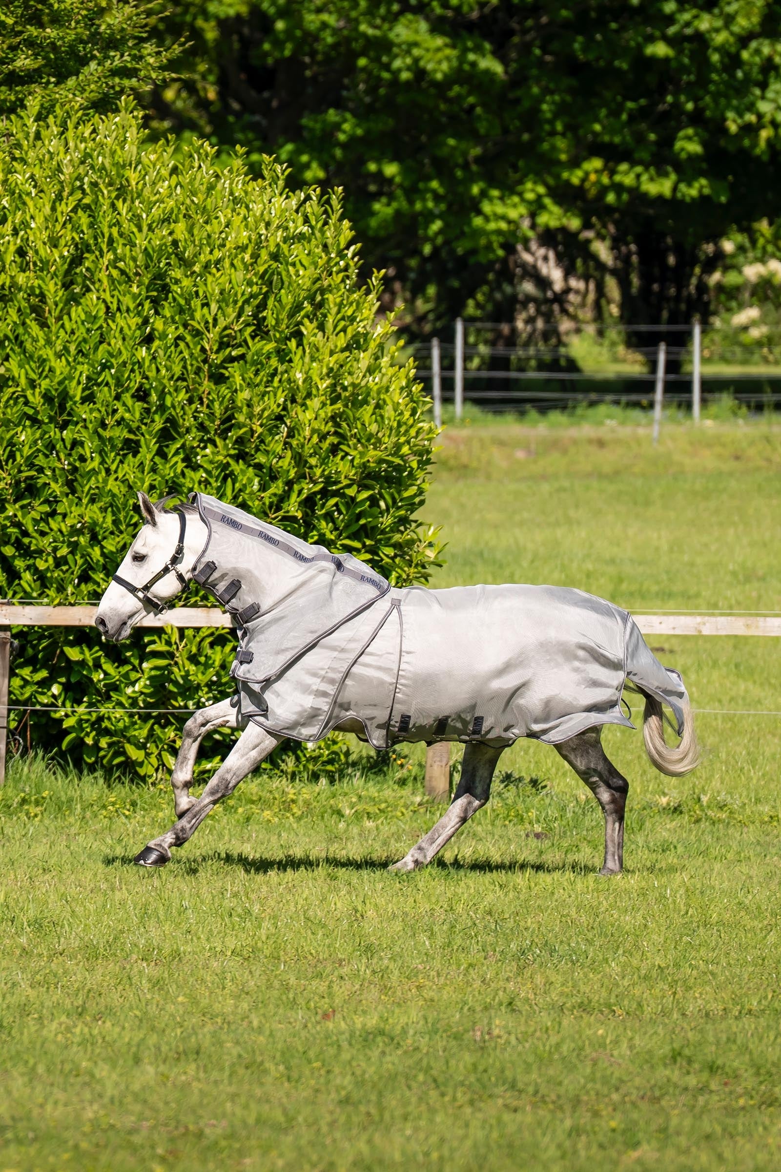 Horseware Rambo Optimo Protector Plus Rug Horse Rugs