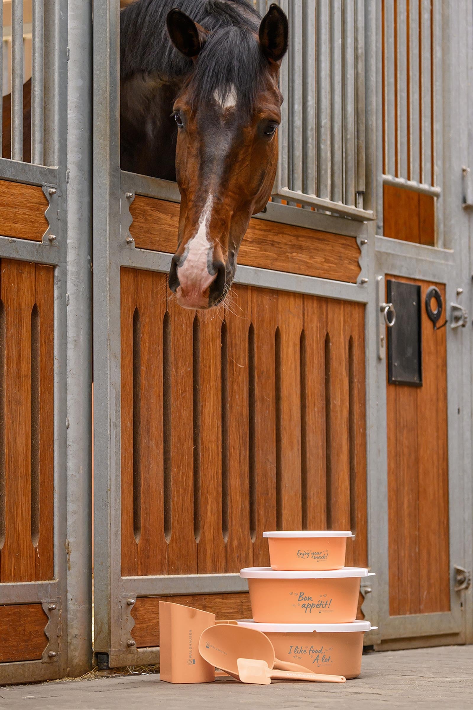 Waldhausen XL Muesli Bowl With Lid Horse Feeders & Waterers