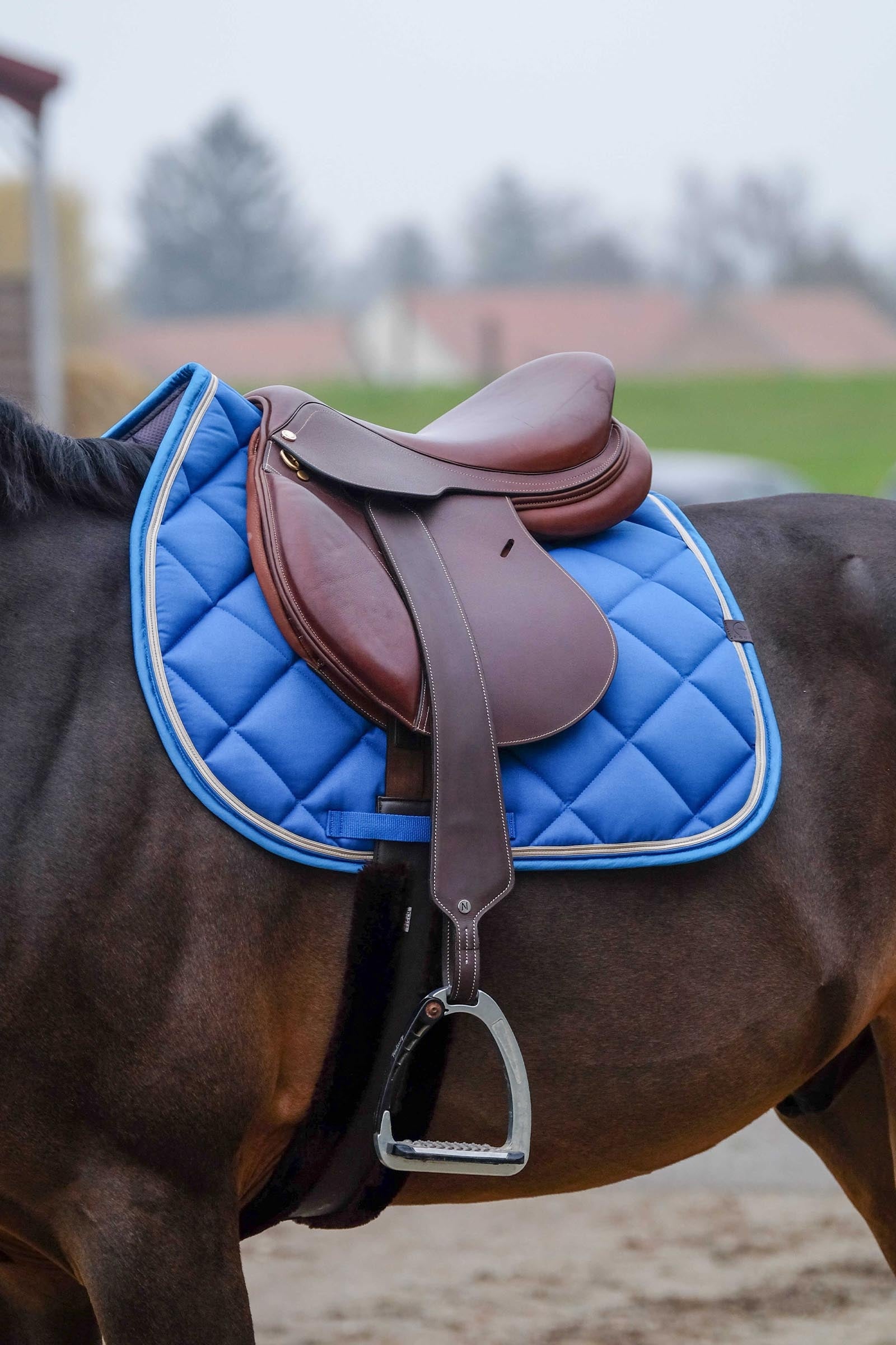 Equi Theme EQUITHÈME Classic Saddle Pad Saddle Pads