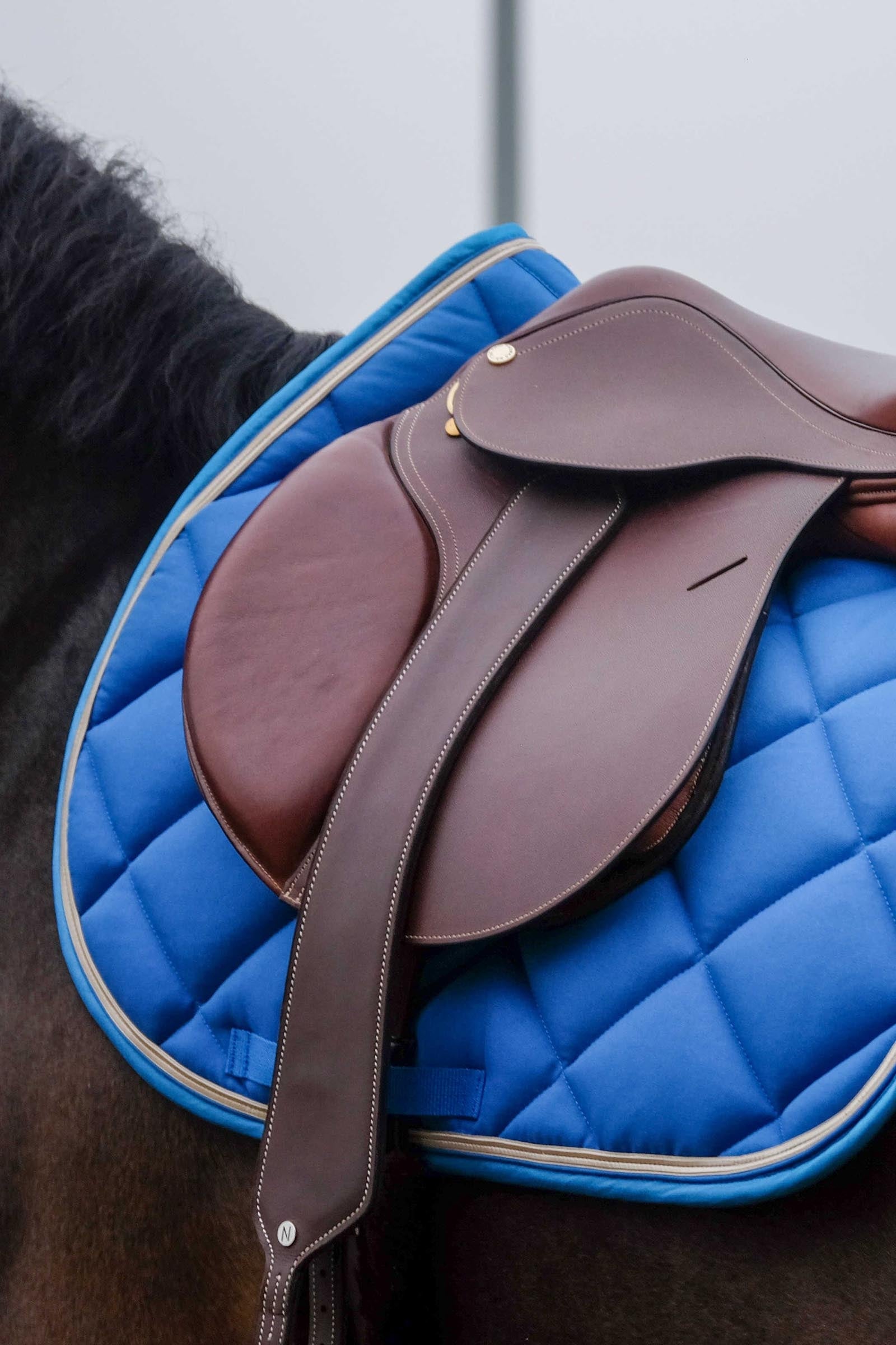 Equi Theme EQUITHÈME Classic Saddle Pad Saddle Pads