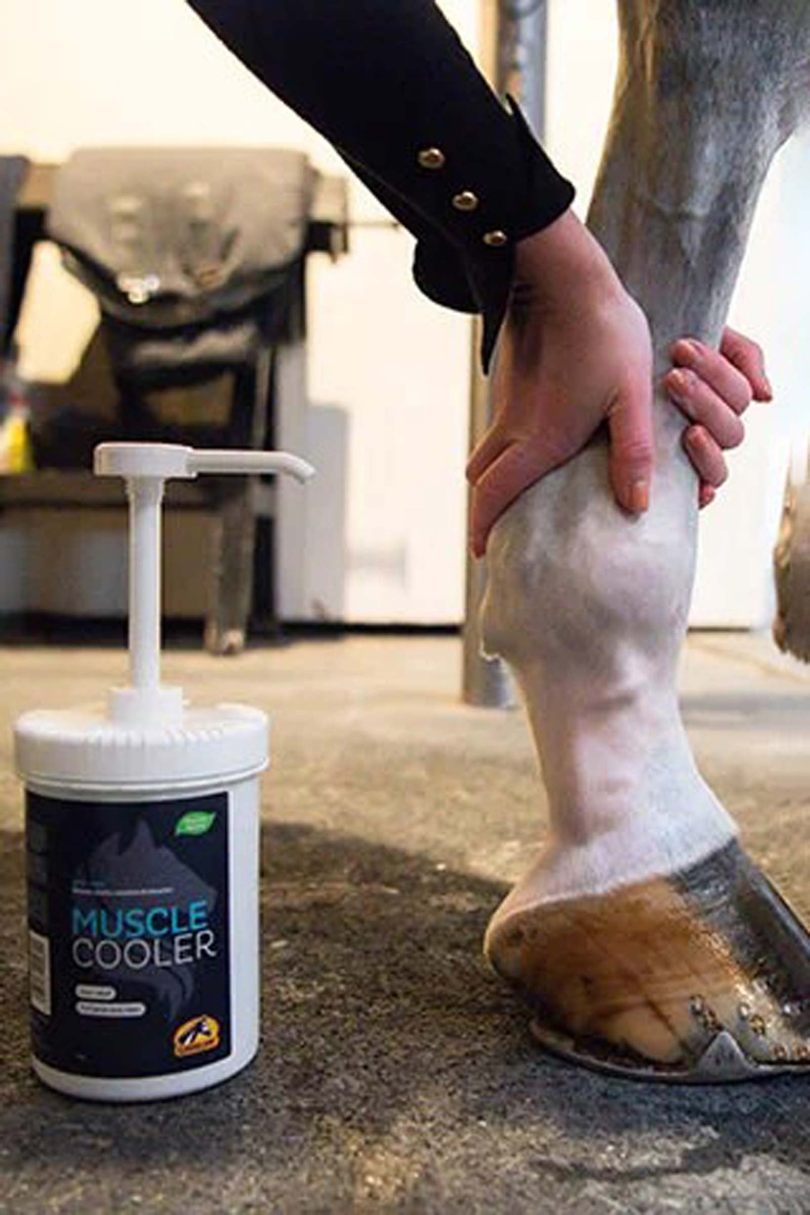 Cavalor Muscle Cooler, Muscles & Tendons, 2 L + Pump Horse Health Care