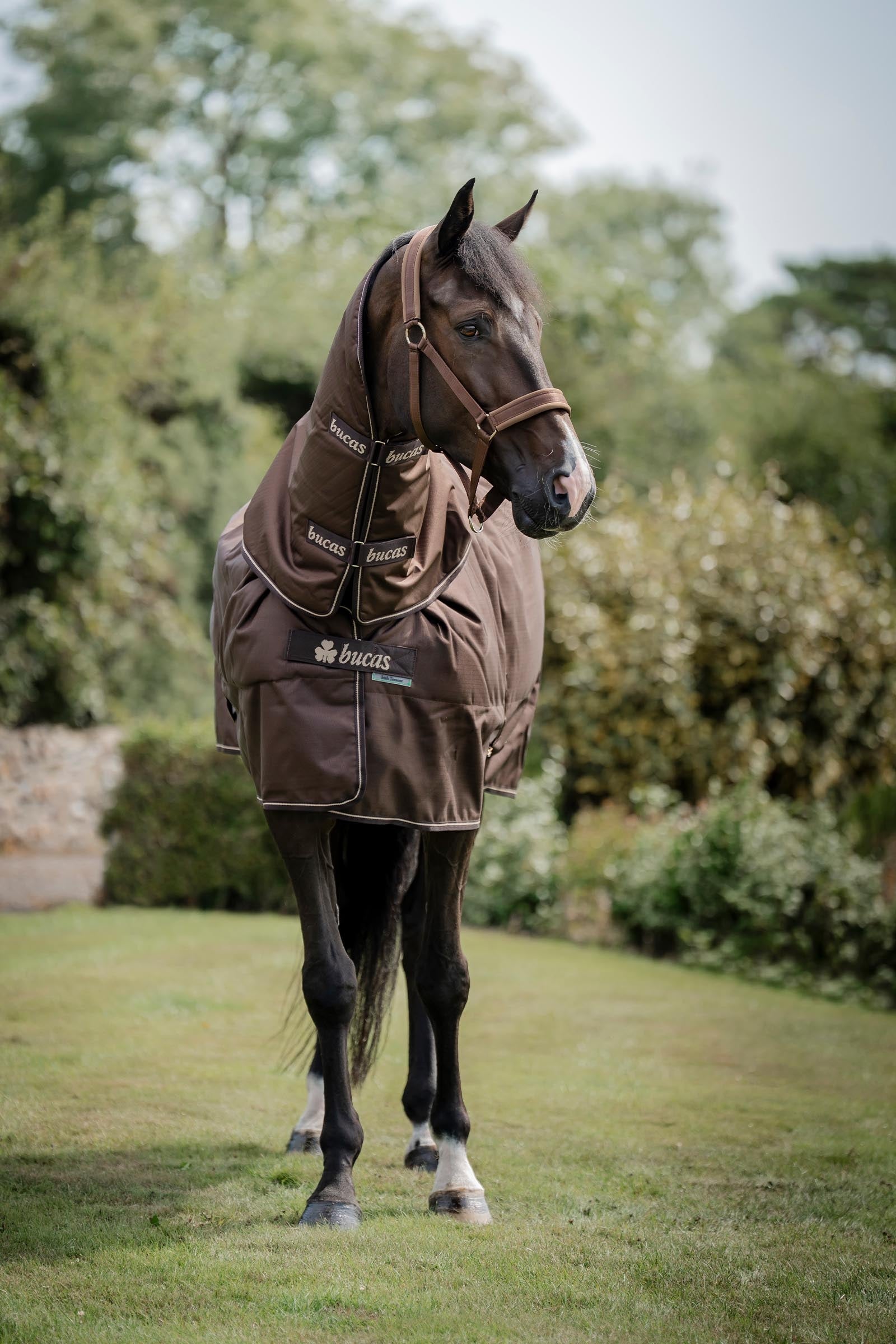 Bucas Irish Turnout 150 g Rug & Neck Set Horse Rugs