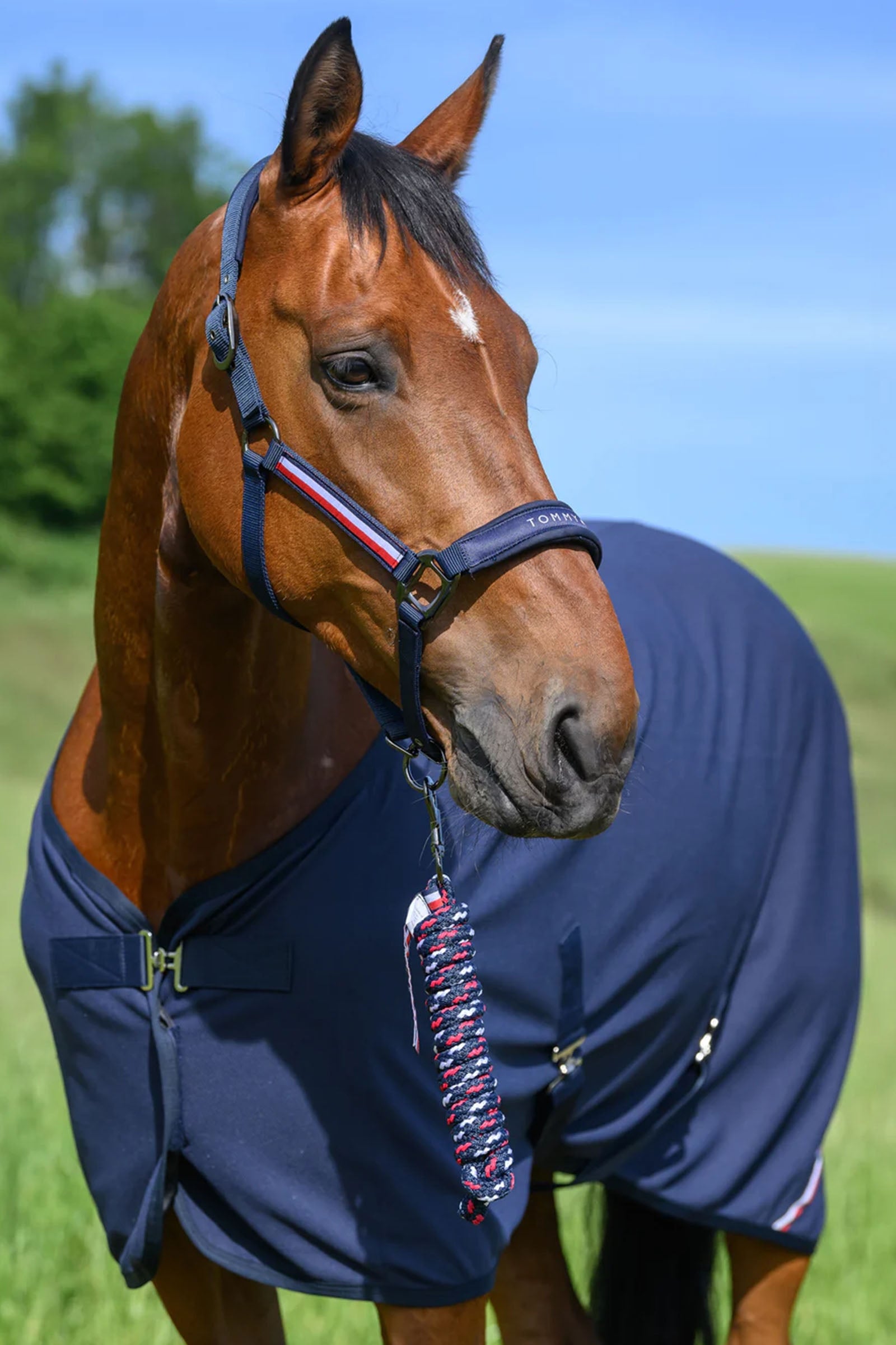 Tommy Hilfiger Equestrian Yale Set Halter and Rope Halters & Leads