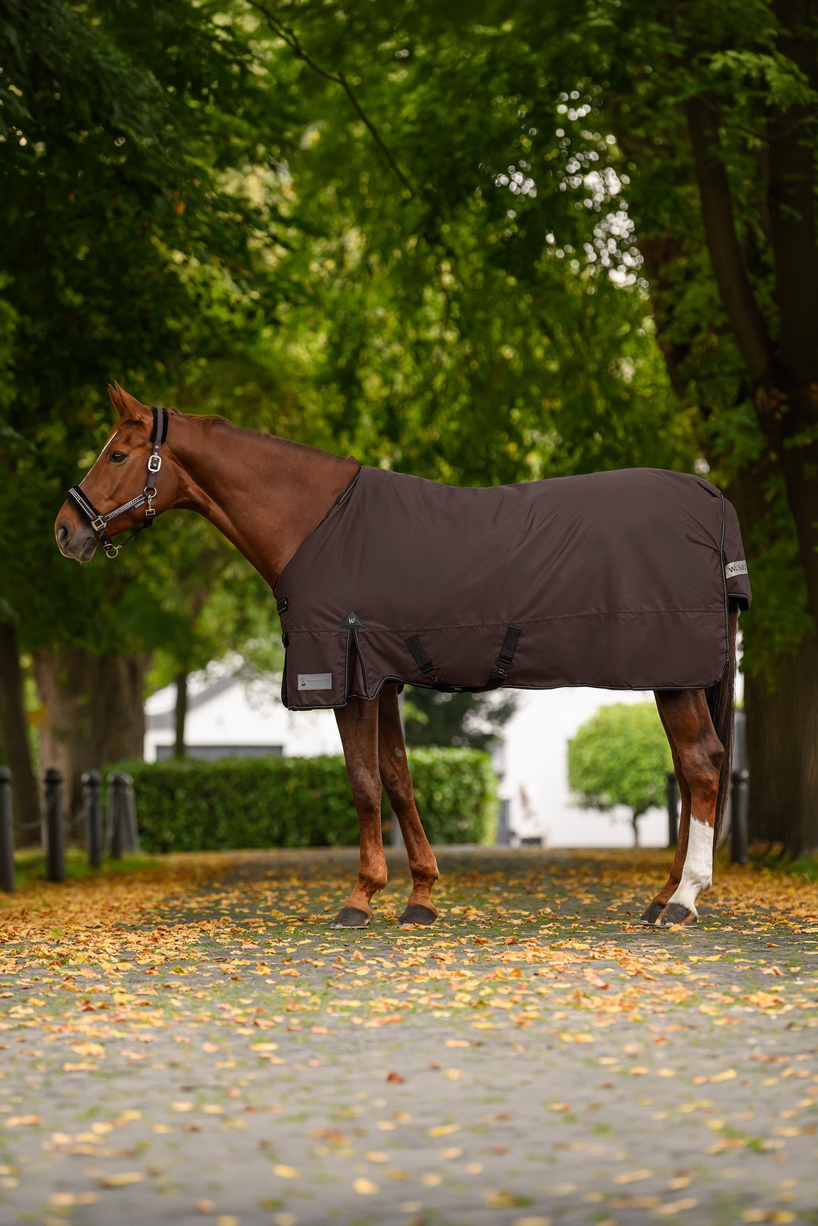 Waldhausen Arctic Turnout Rug, 50 g Horse Rugs
