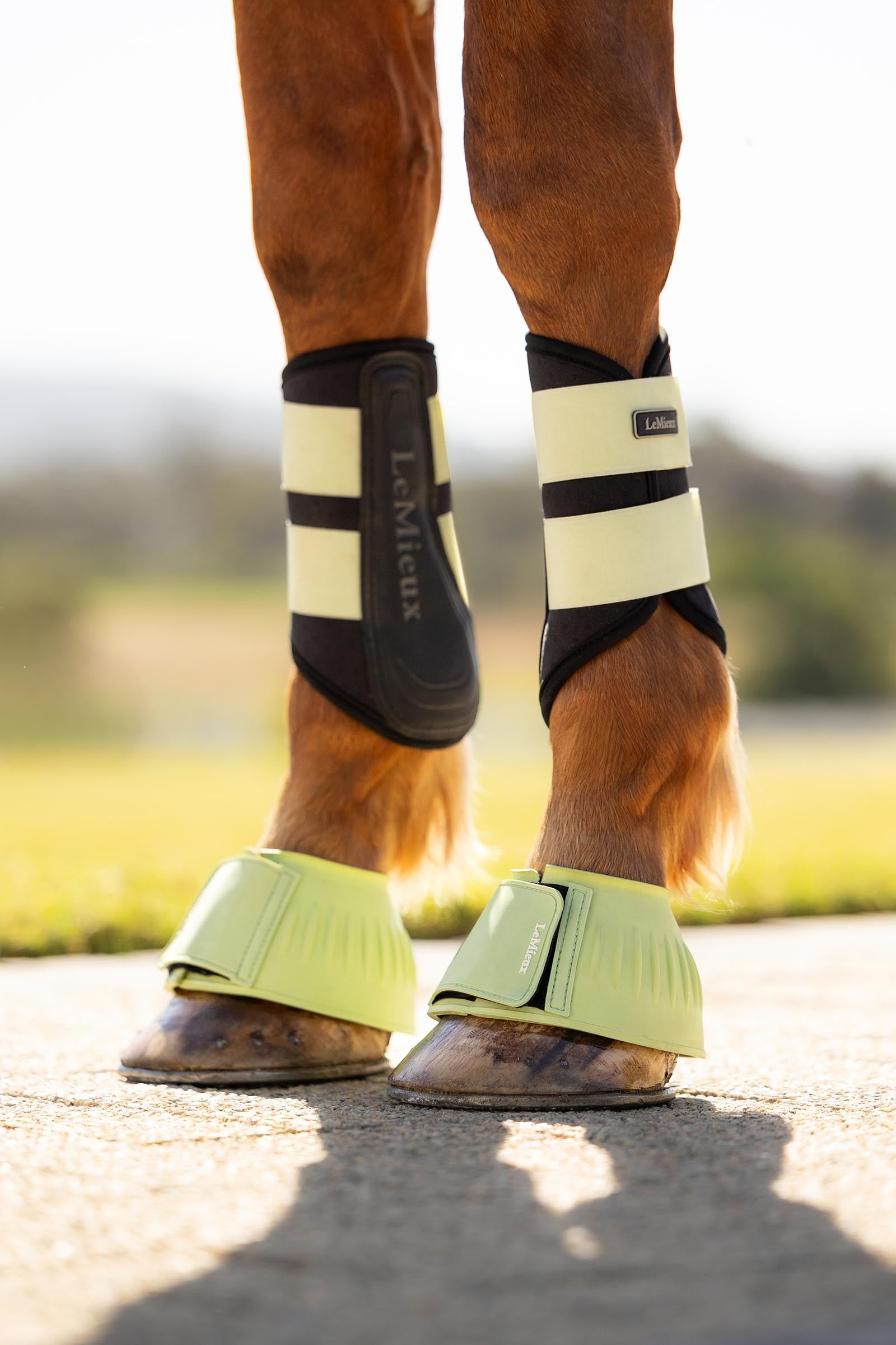 LeMieux Rubber Bell Boots Leg Protection & Hoof Protection for Horses