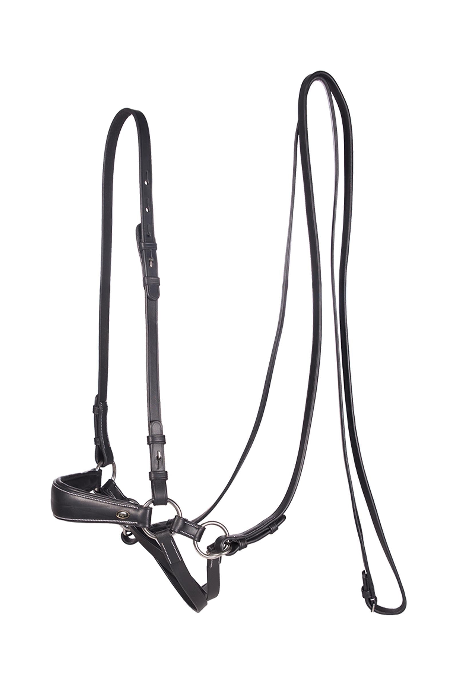 F.R.A. Freedom Riding Articles Lami Bitless Bridle (System 4) w/ Reins & Studhook Connect Bridles & Reins