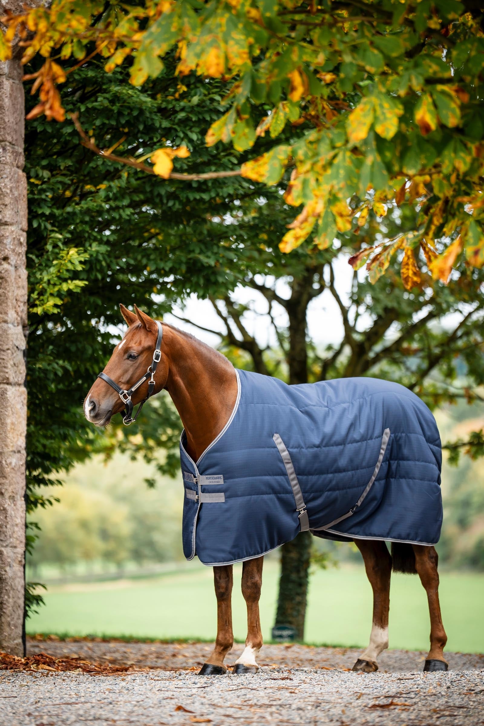 Horseware Rambo Stable 200 g Horse Rugs