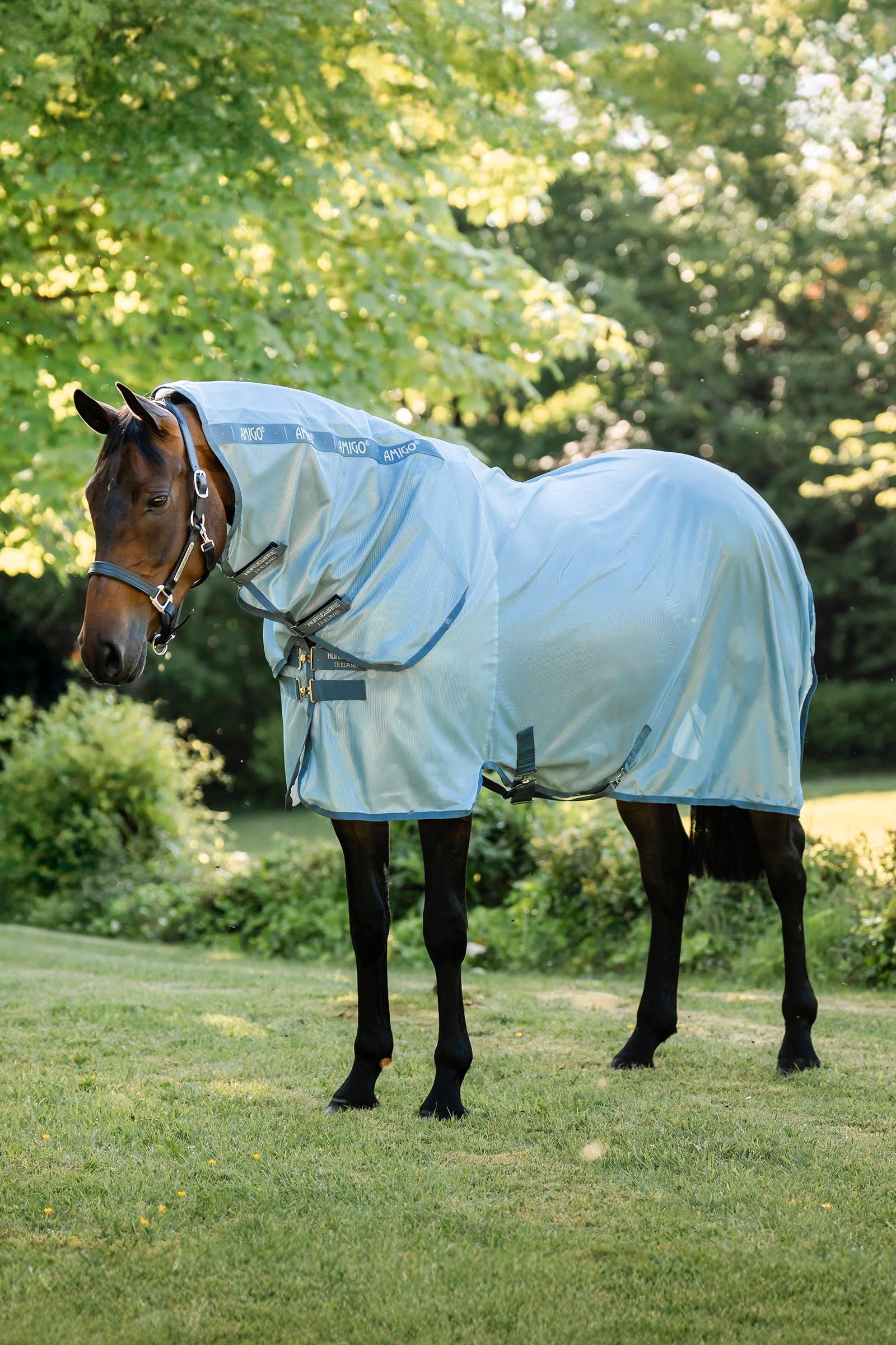 Horseware Amigo Integrated Fly Sheet Horse Rugs