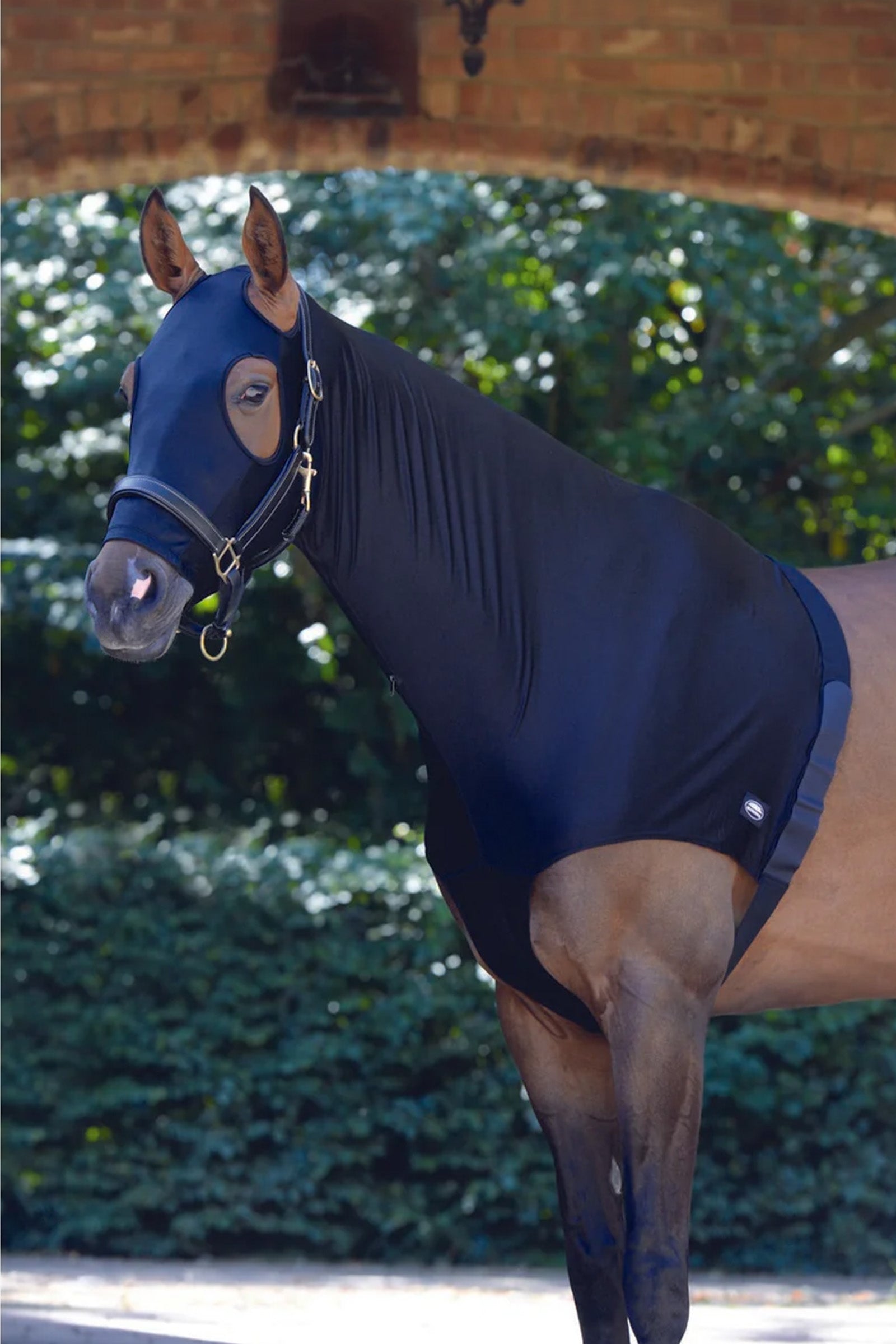 Weatherbeeta Stretch Hood With Zip Horse Rugs