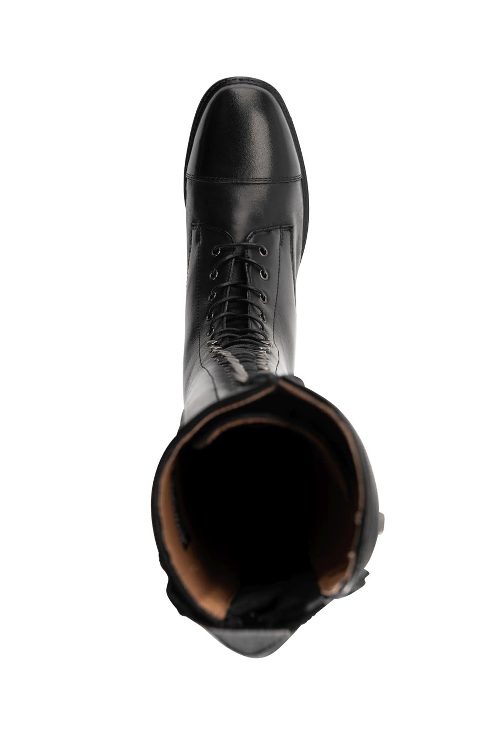 Suedwind Footwear Legacy Venado Lace Tall Riding Boots Riding Boots & Riding Shoes