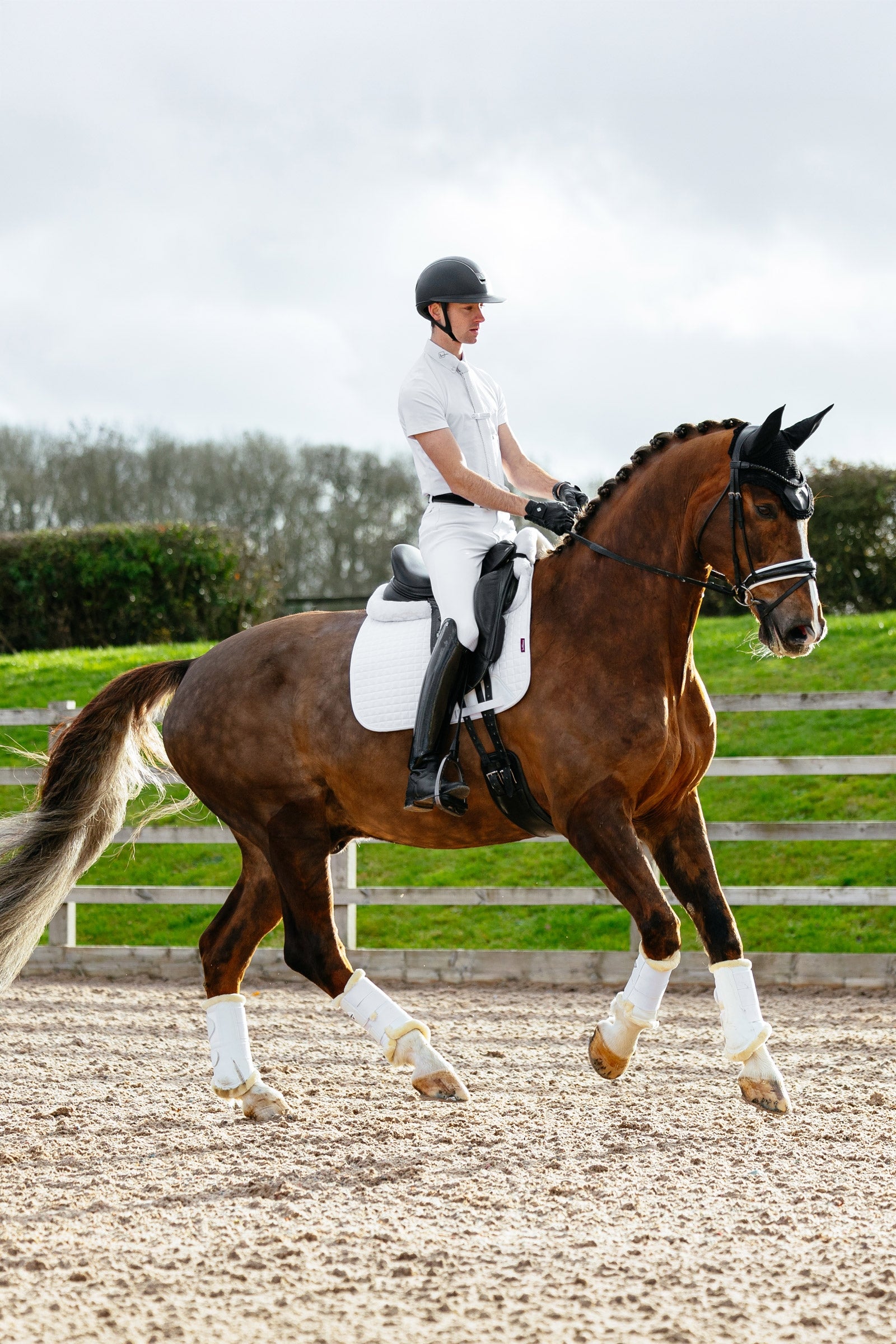 LeMieux Cotton Dressage Square Saddle Pad Saddle Pads
