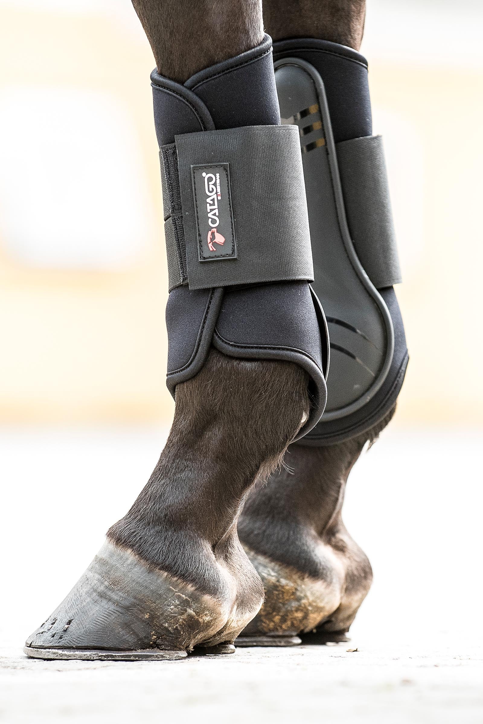 Catago Neoprene Dressage Boots Leg Protection & Hoof Protection for Horses