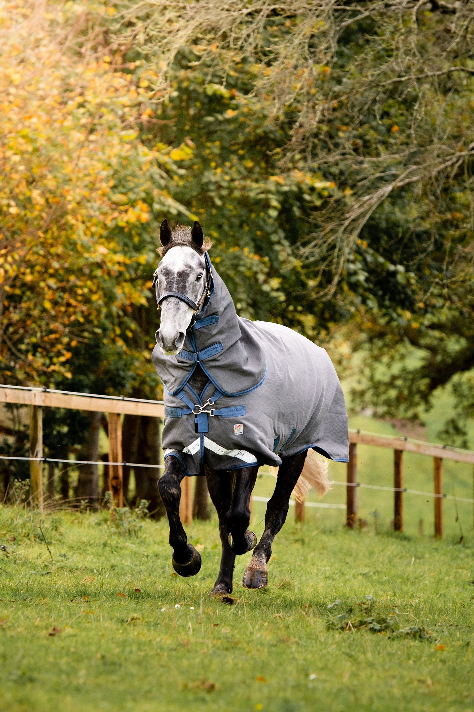Horseware Rhino Plus HexSTOP, 0g Horse Rugs