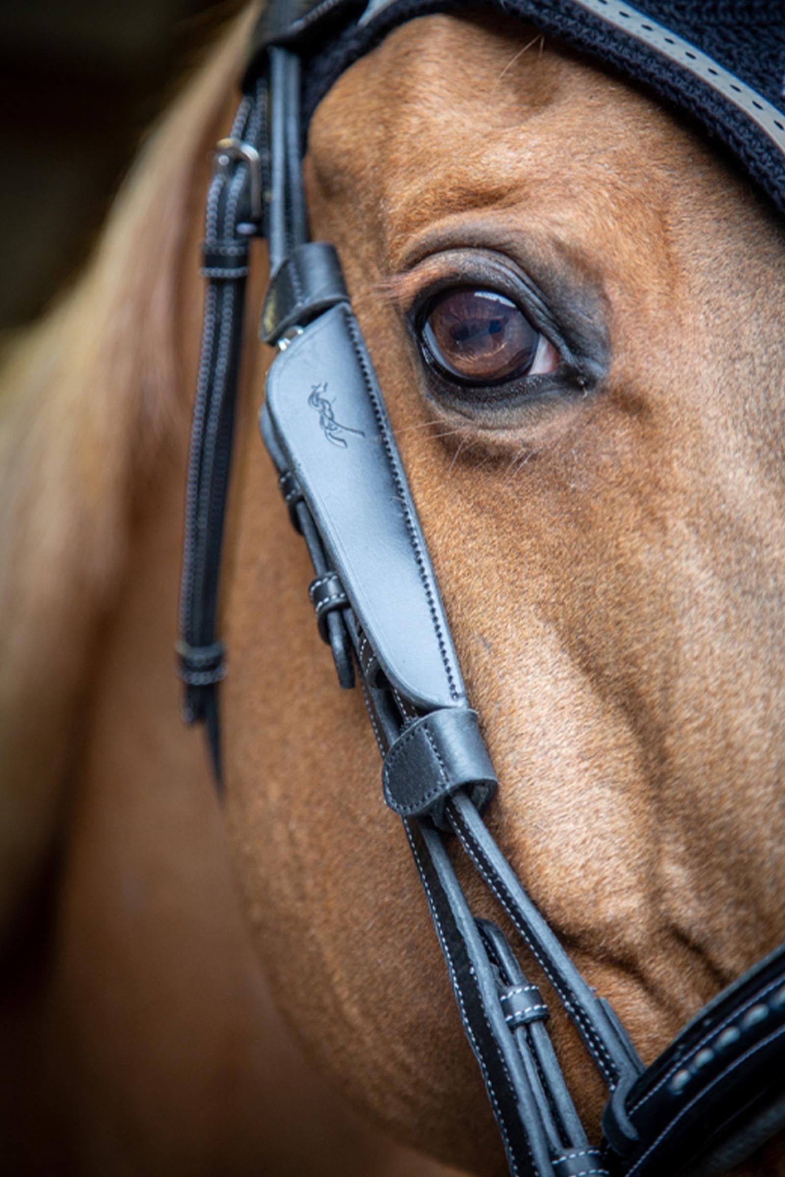 PENELOPE Blinkers Racing Tack
