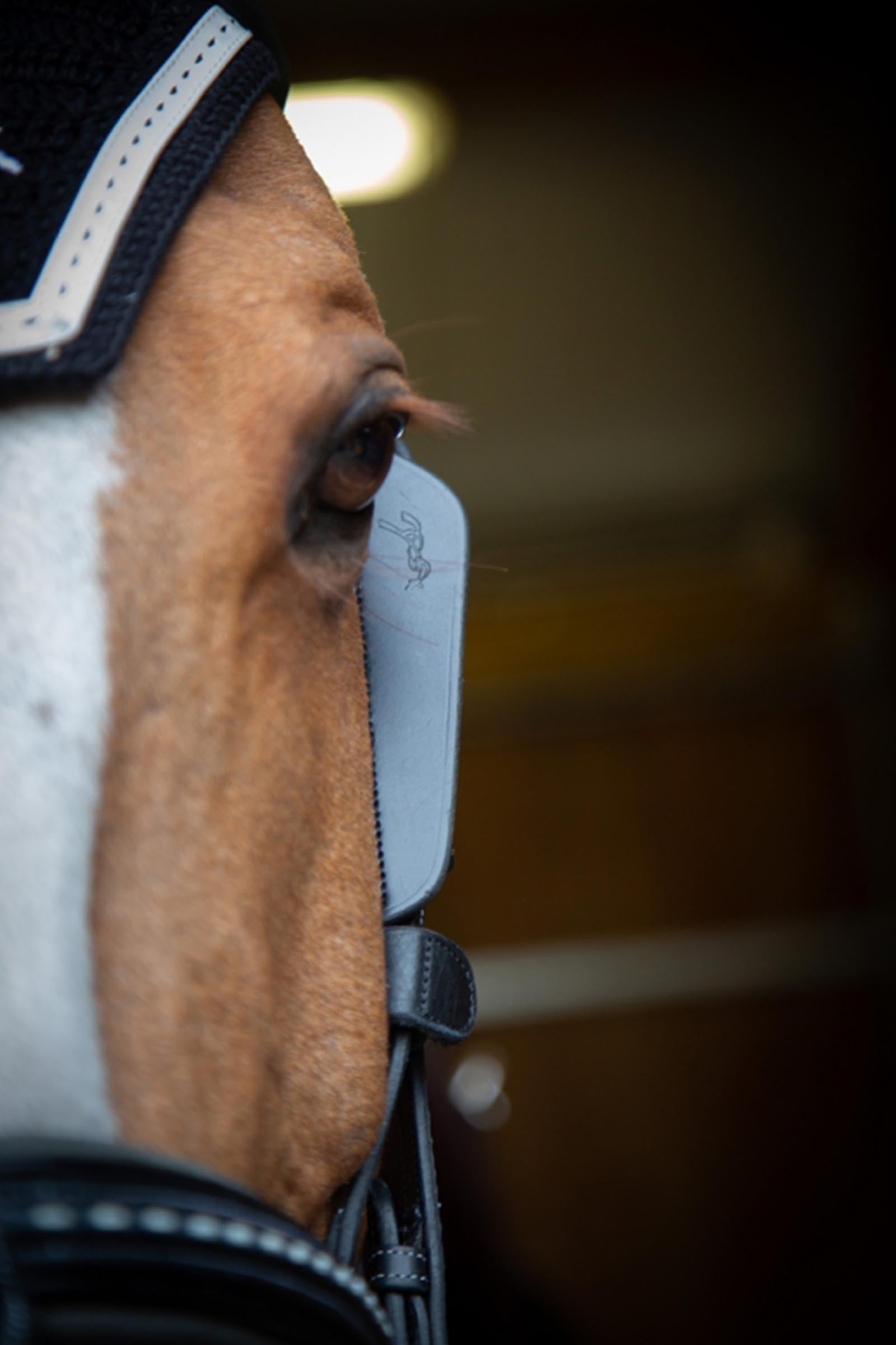 PENELOPE Blinkers Racing Tack