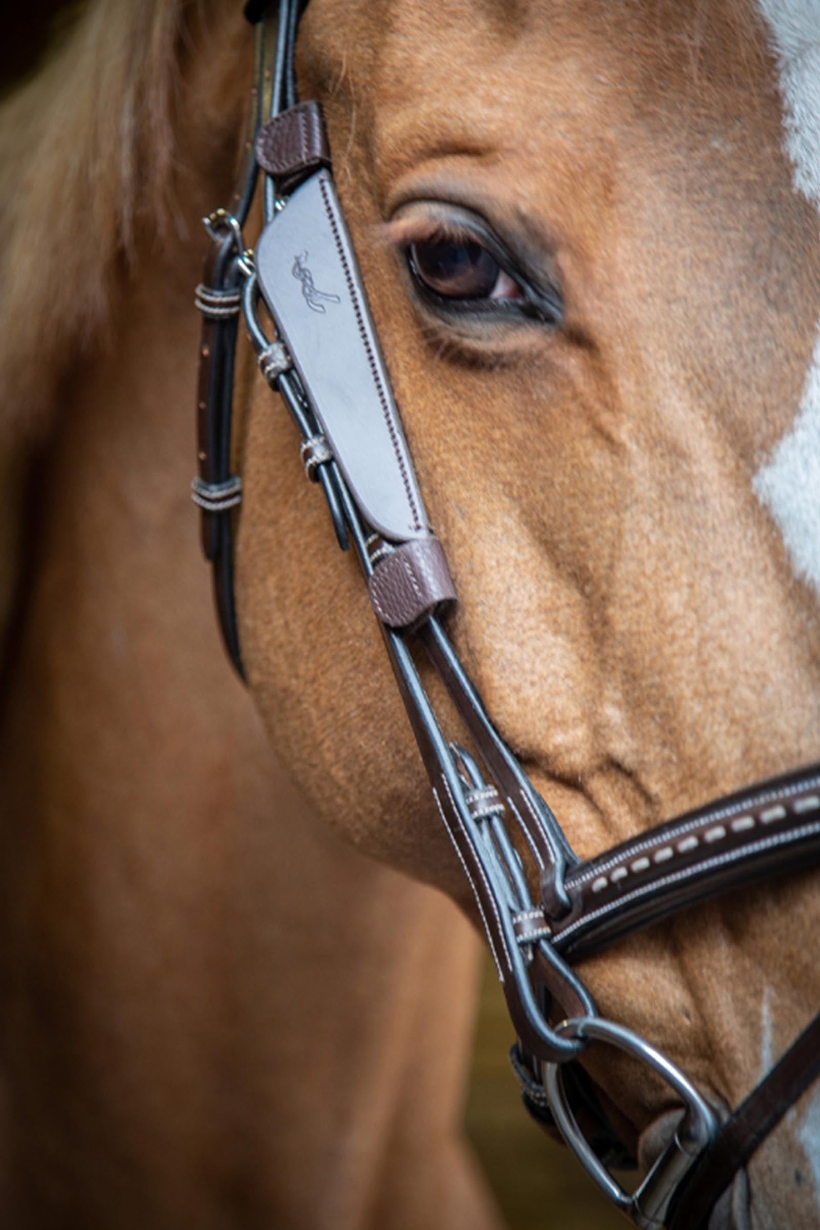 PENELOPE Blinkers Racing Tack