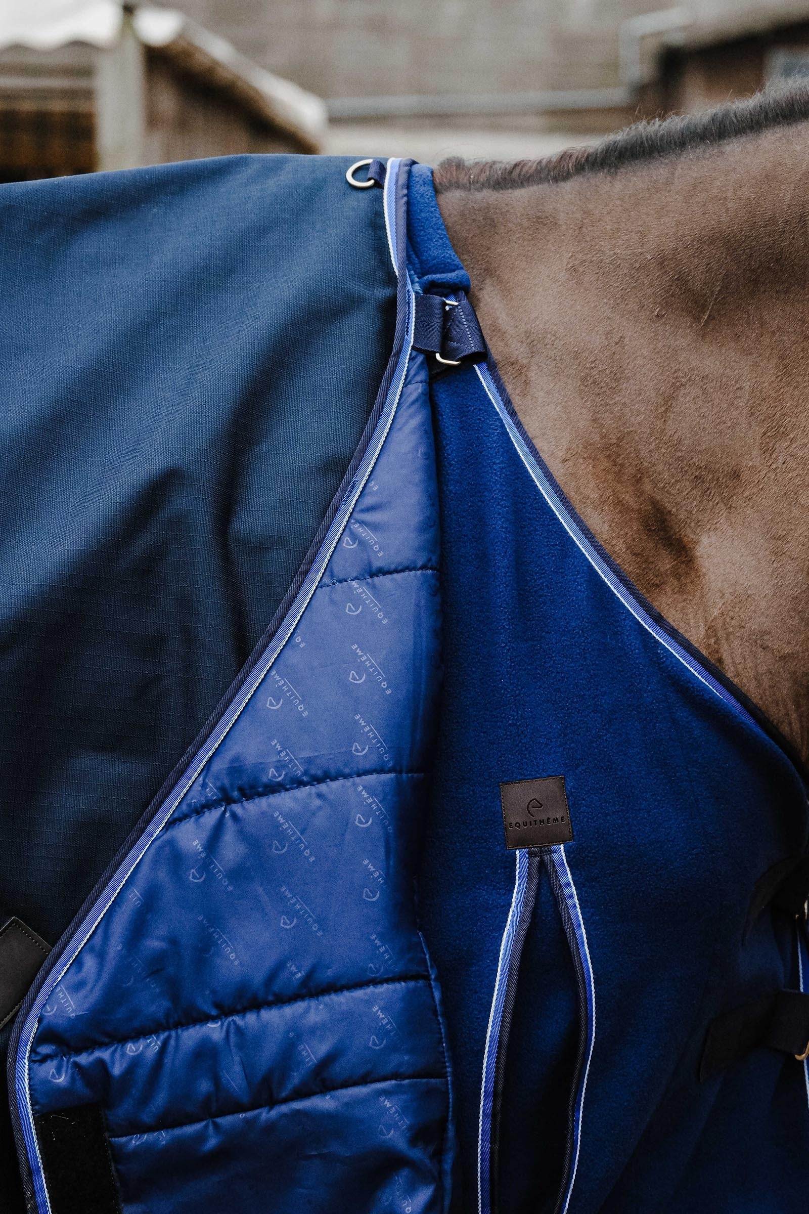 EQUITHÈME Classic 1200D Turnout Rug, 200 g Horse Rugs