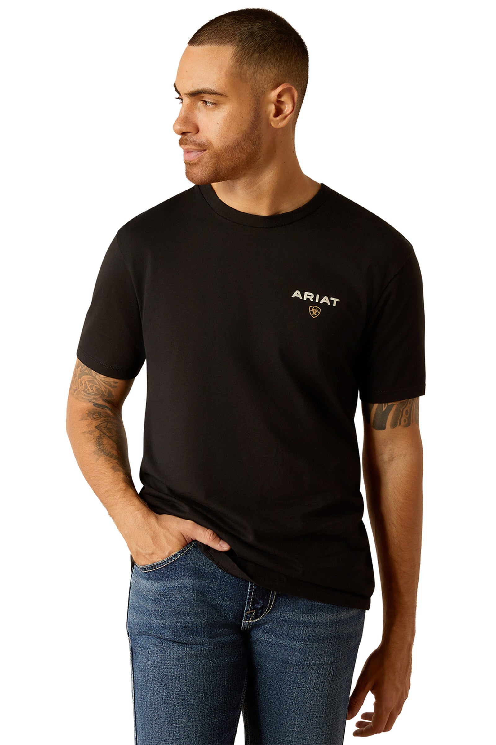 Alt Tag fallback text for IMAGE