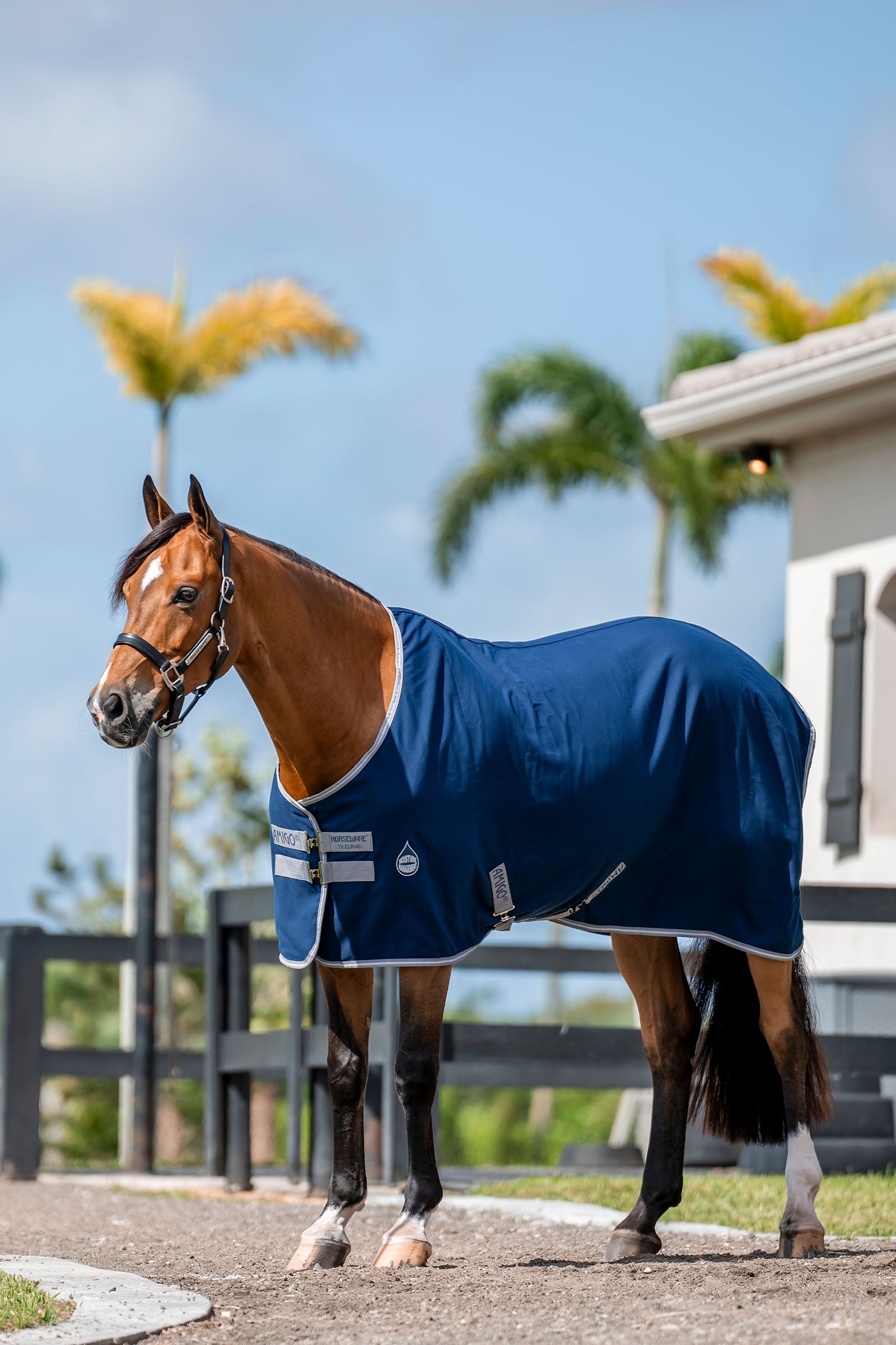 Horseware Amigo Stable Sheet, 0g Horse Rugs