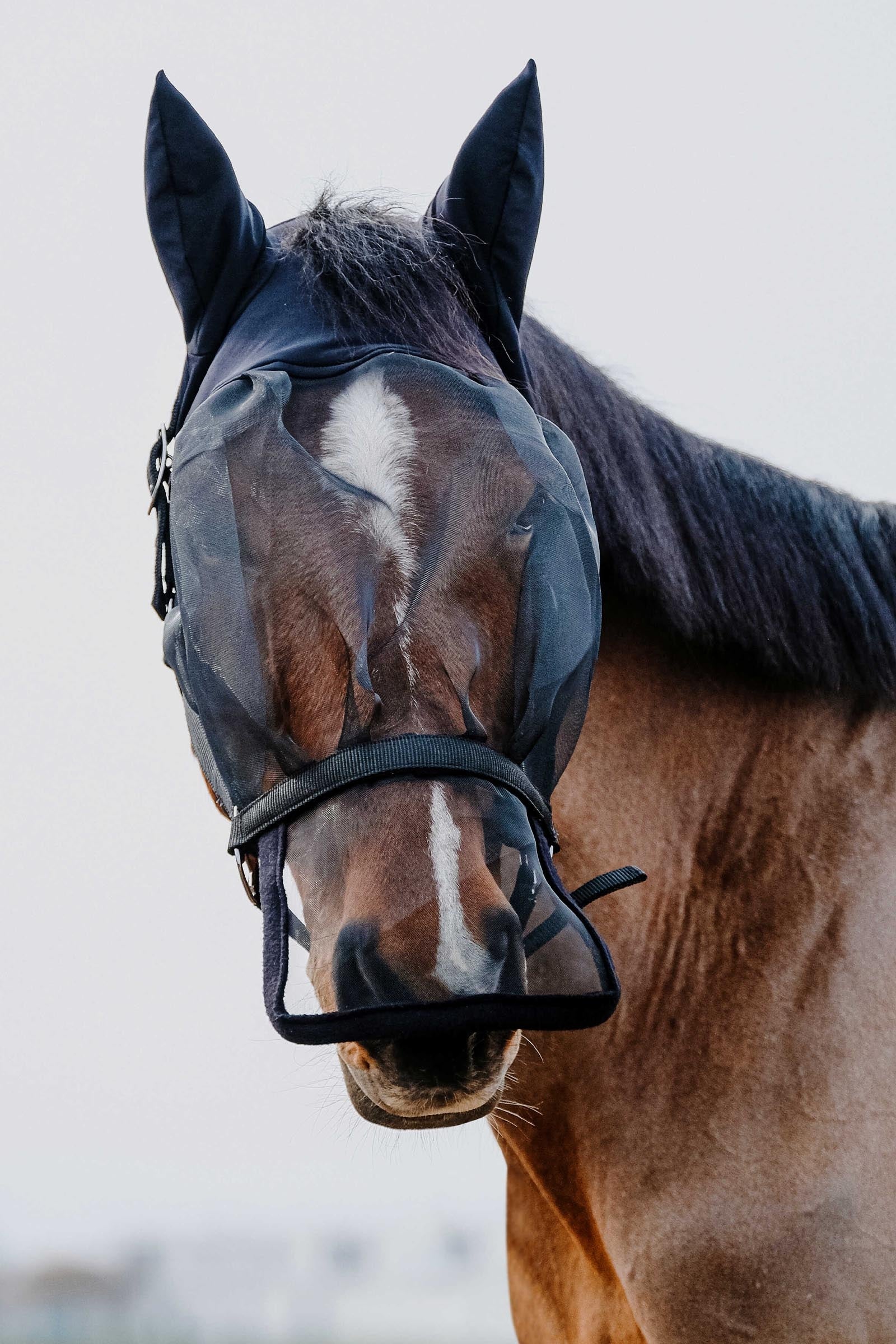 Equi Theme EQUITHÈME Halter + Anti UV Mask Antifly Protection for Horses