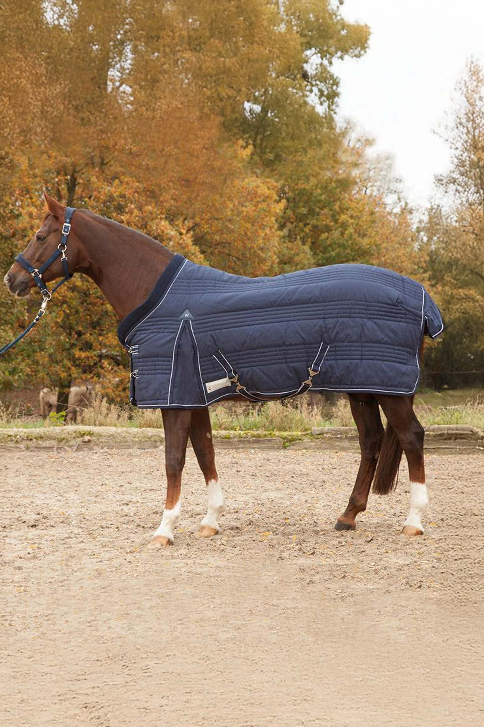 Waldhausen Stable Rug comfort Line 300g Horse Rugs