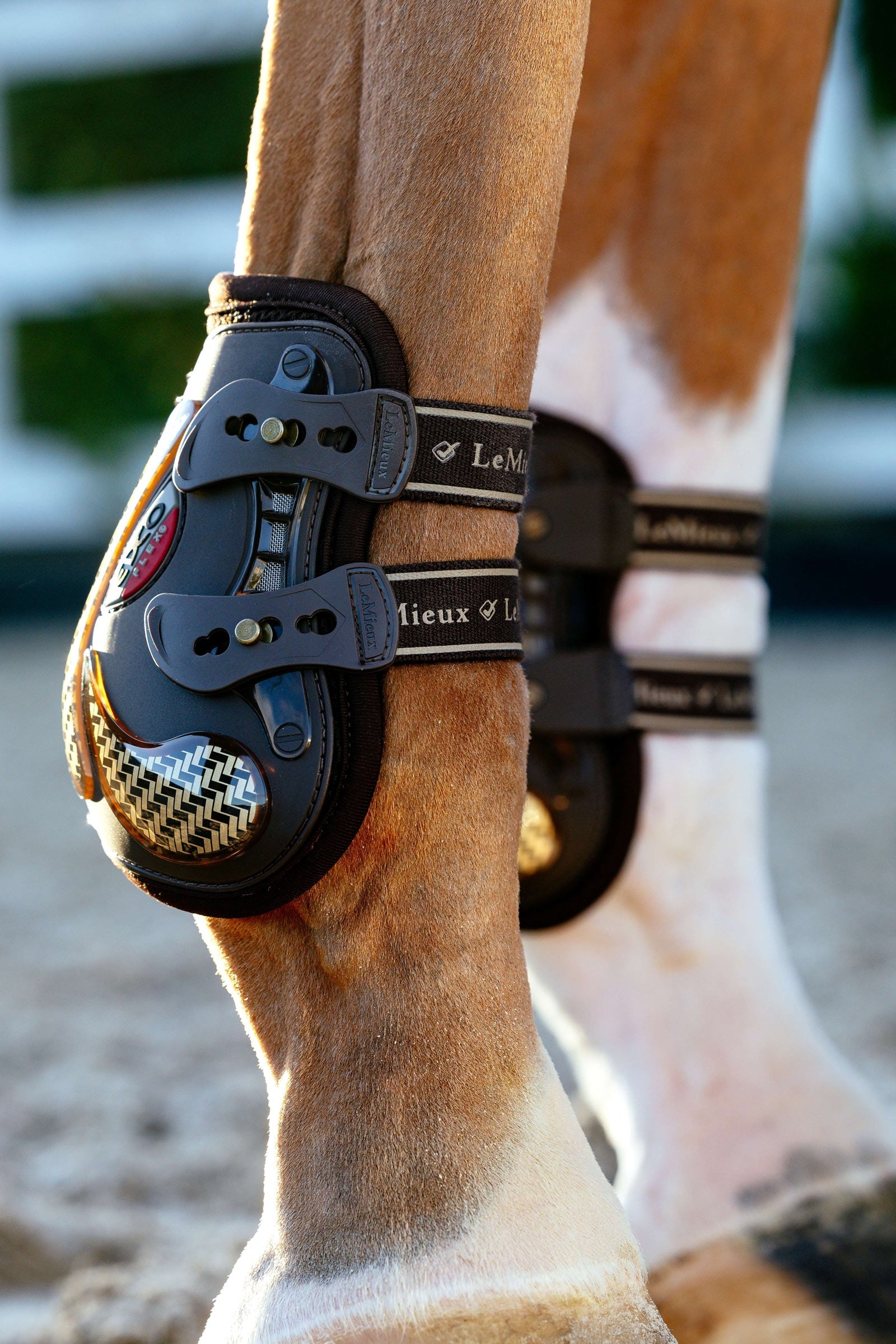 LeMieux EXO Flex Ankle Boots Leg & Hoof Protection