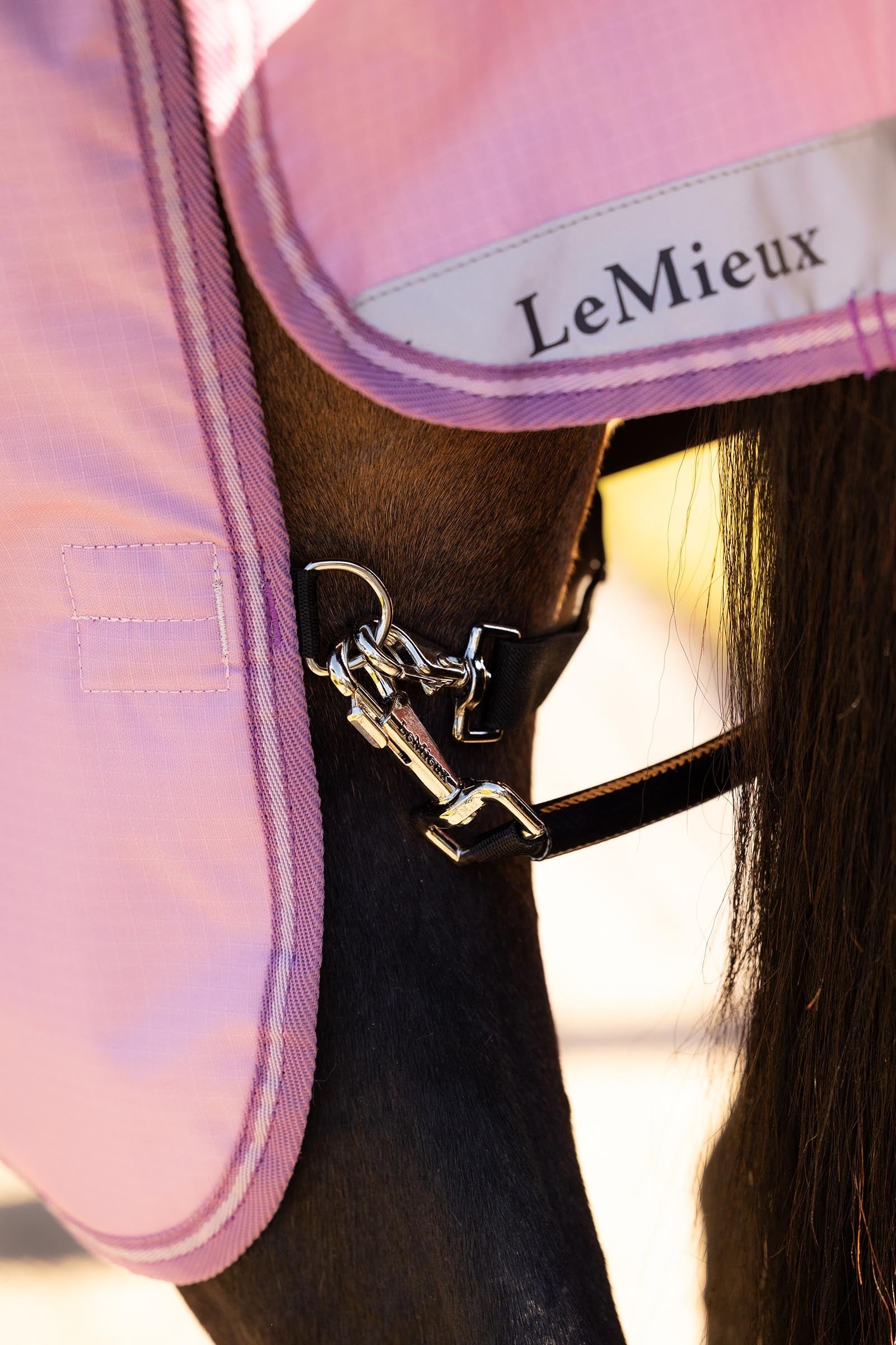 LeMieux Arika Ripstop Turnout Rug With Detachable Neck, 0 g Horse Rugs