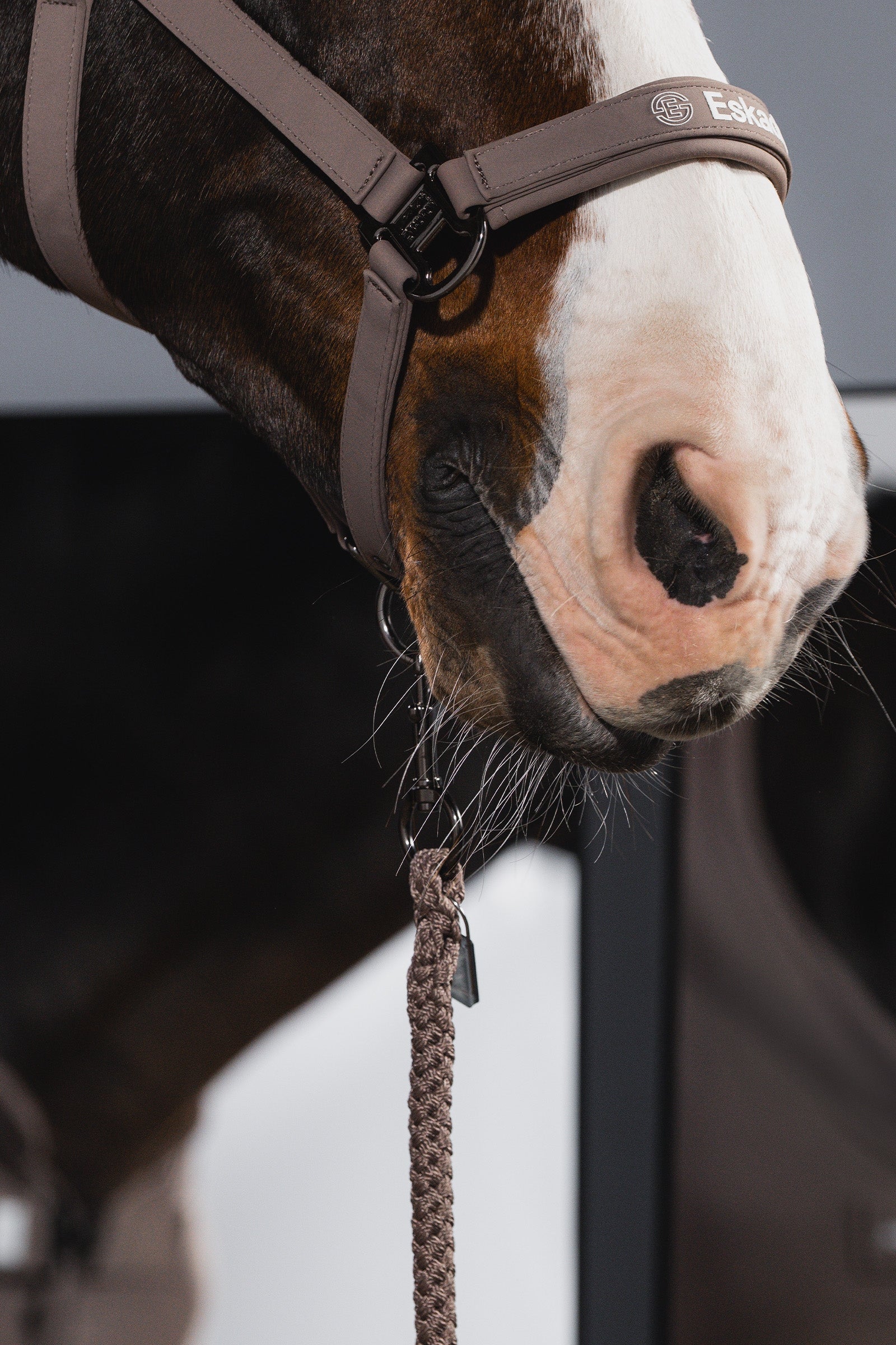 Eskadron Dynamic AW26 Softshell Double PIN Headcollar Halters & Leads