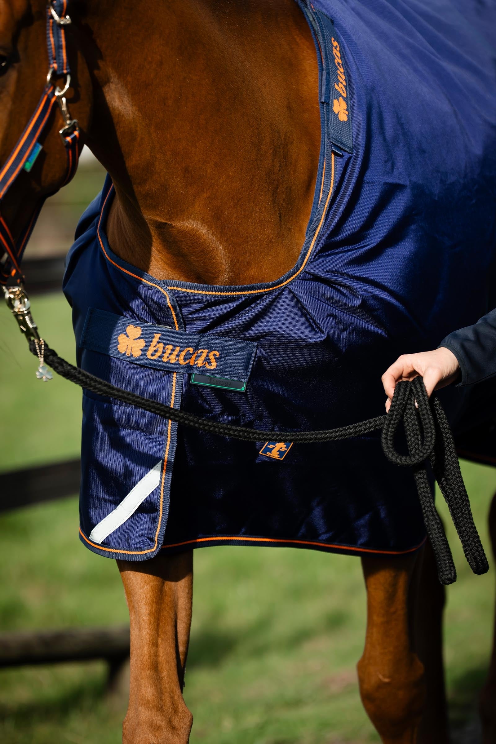 Lifestyle shot 5