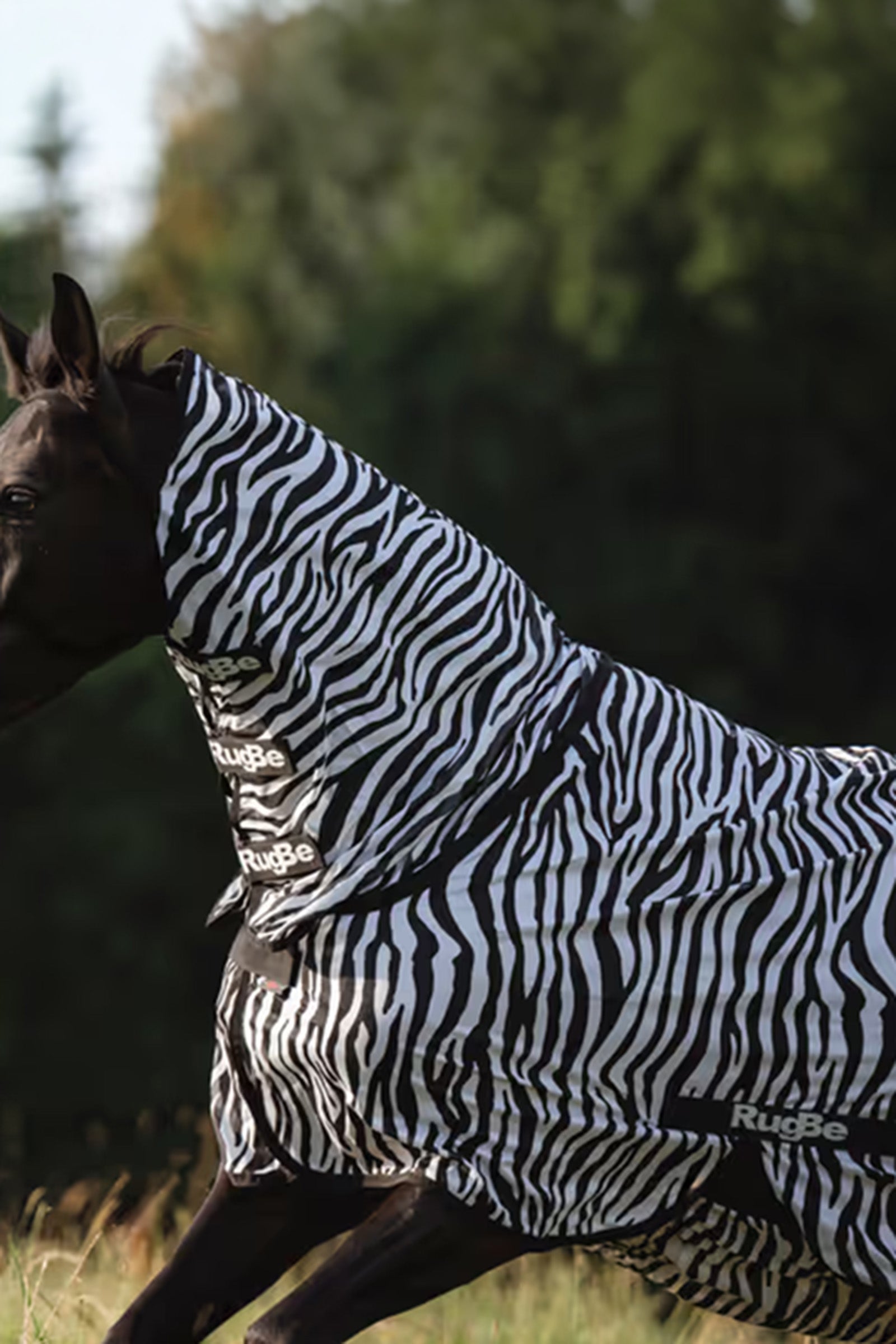Covalliero RugBe Zebra Fly Sheet With Tail Flap Horse Rugs