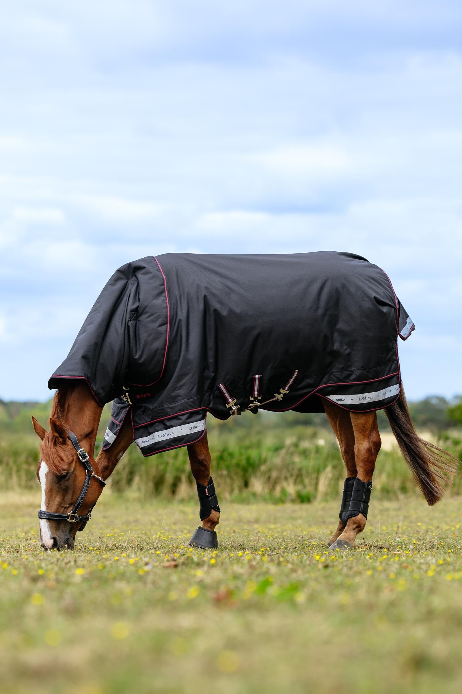 LeMieux Arika Storm-Tek Turnout Rug, 350 g Horse Rugs