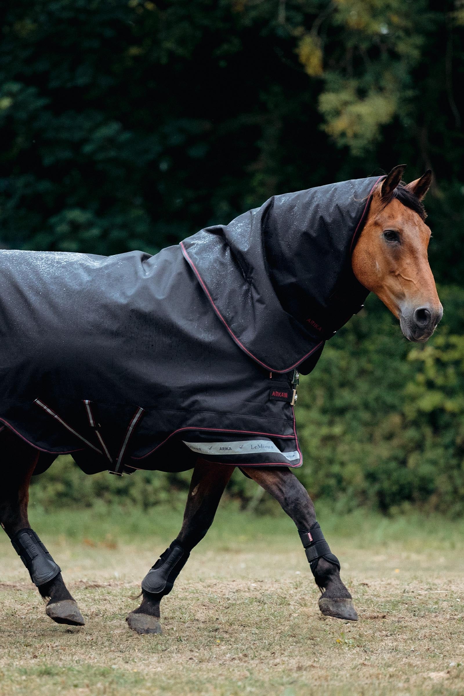 LeMieux Arika Storm-Tek Turnout Rug, 350 g Horse Rugs
