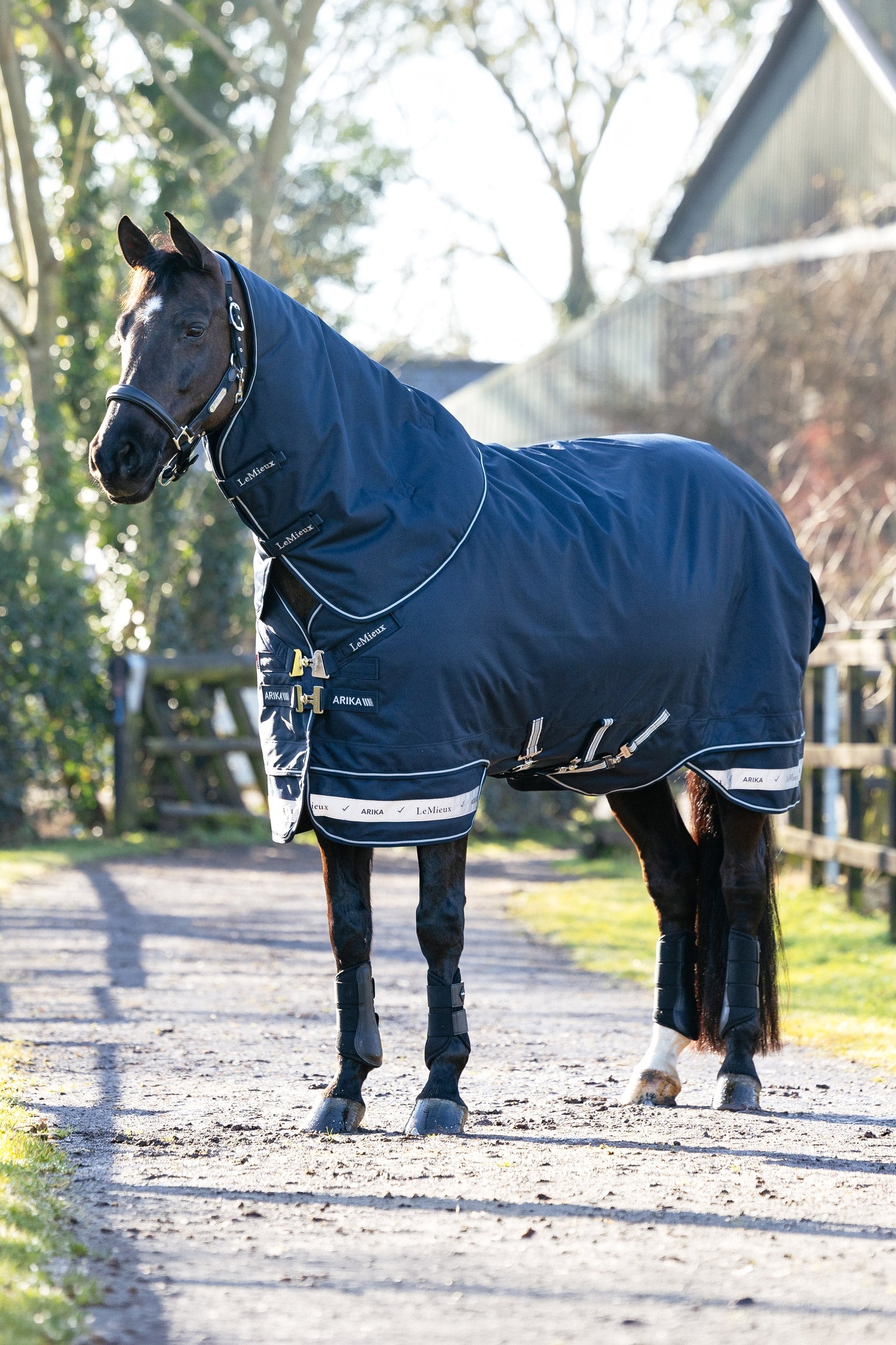 LeMieux Arika Storm-Tek Turnout Rug, 350 g Horse Rugs