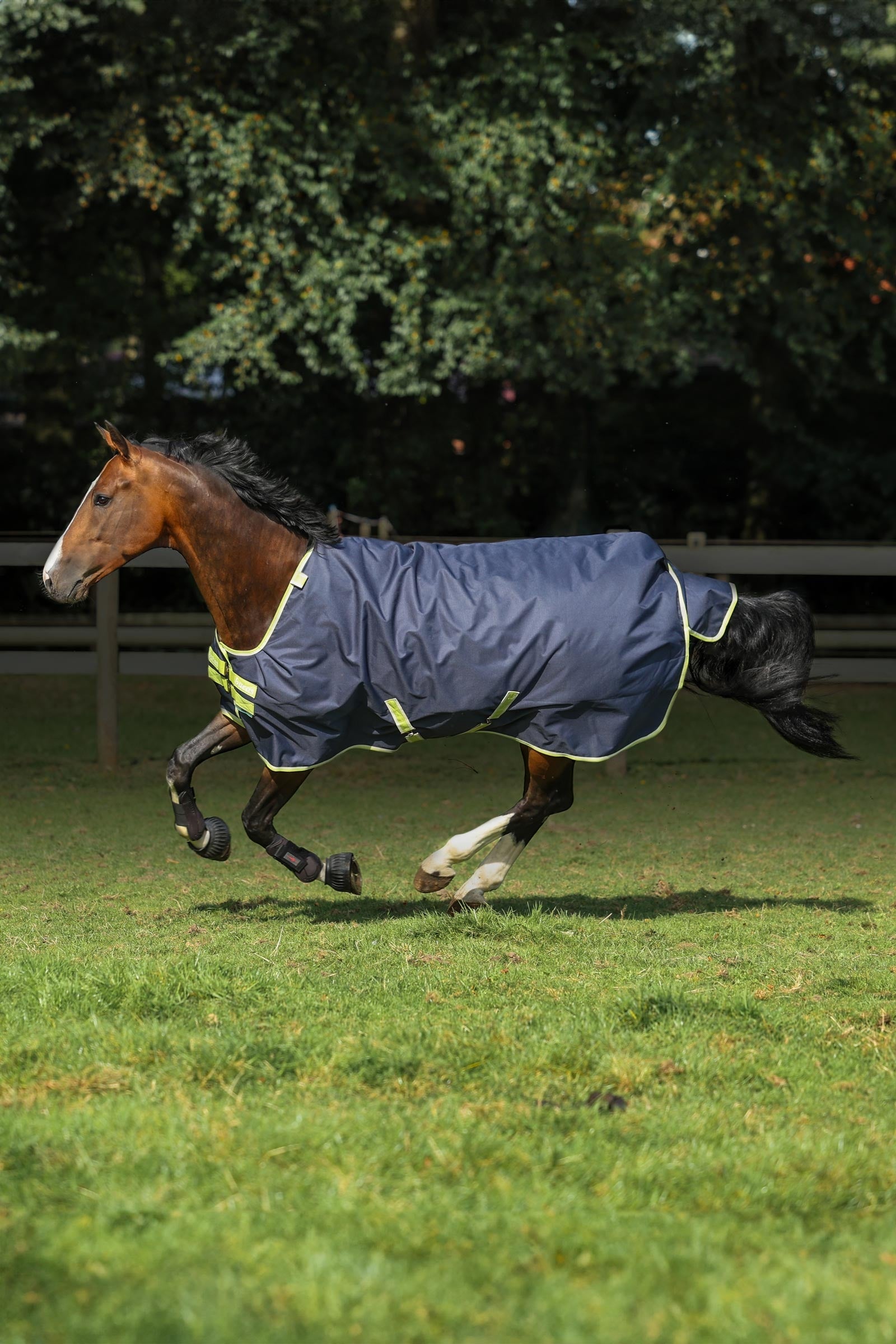 Bucas Oasis Turnout + Neck Set, 100g Horse Rugs