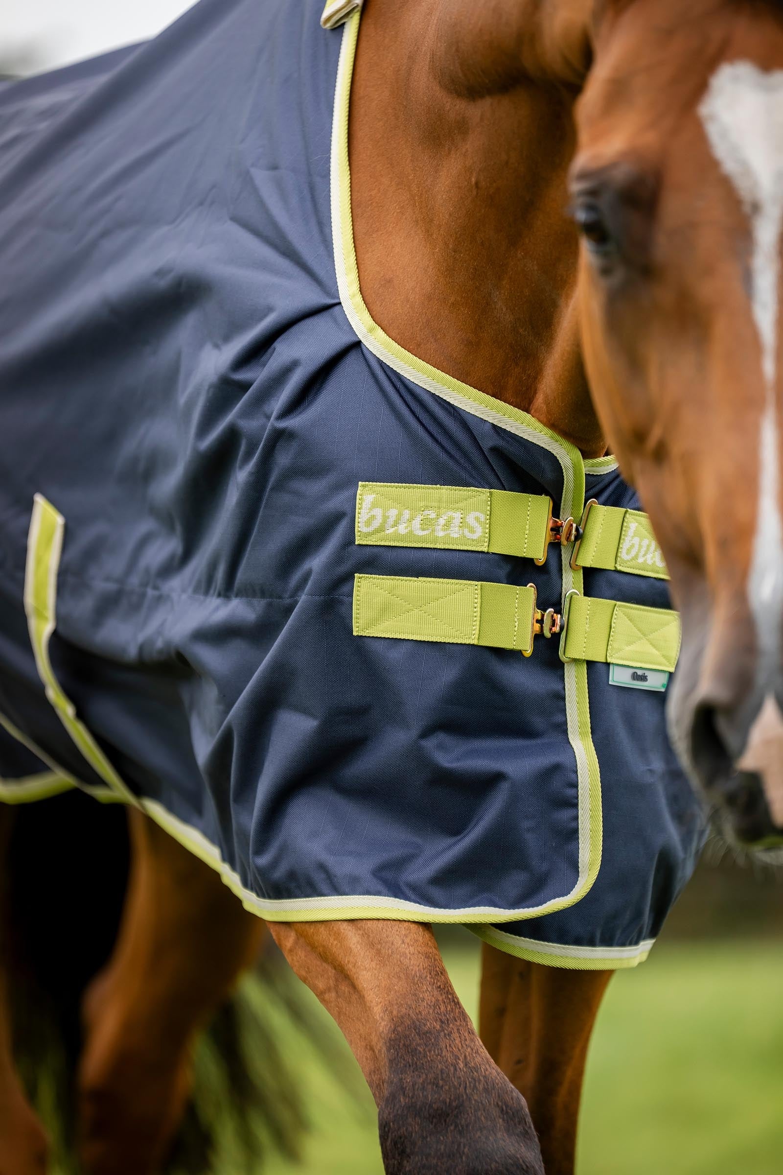 Lifestyle shot 7