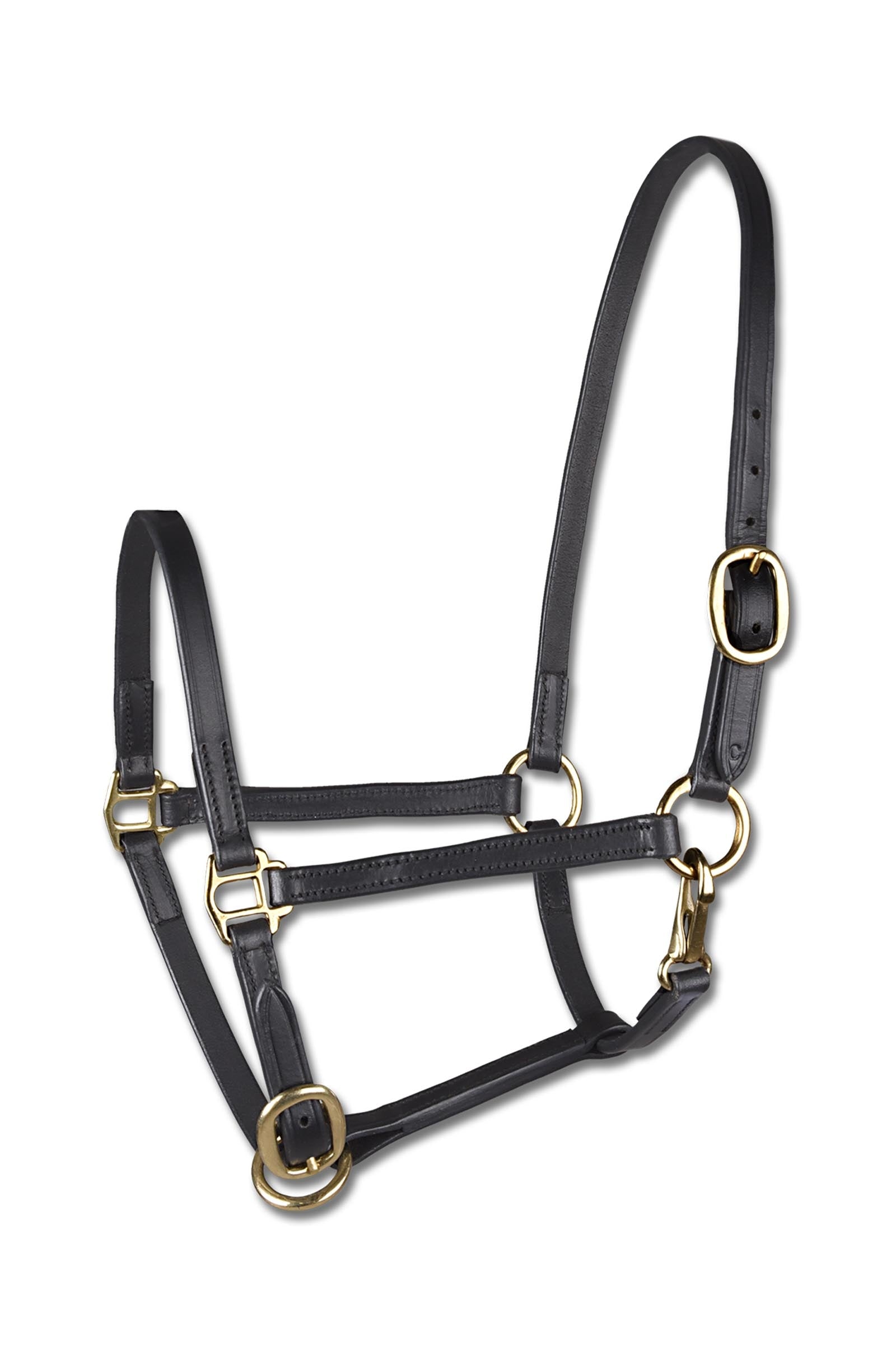 Star Foal Leather Show Halter Halters & Leads
