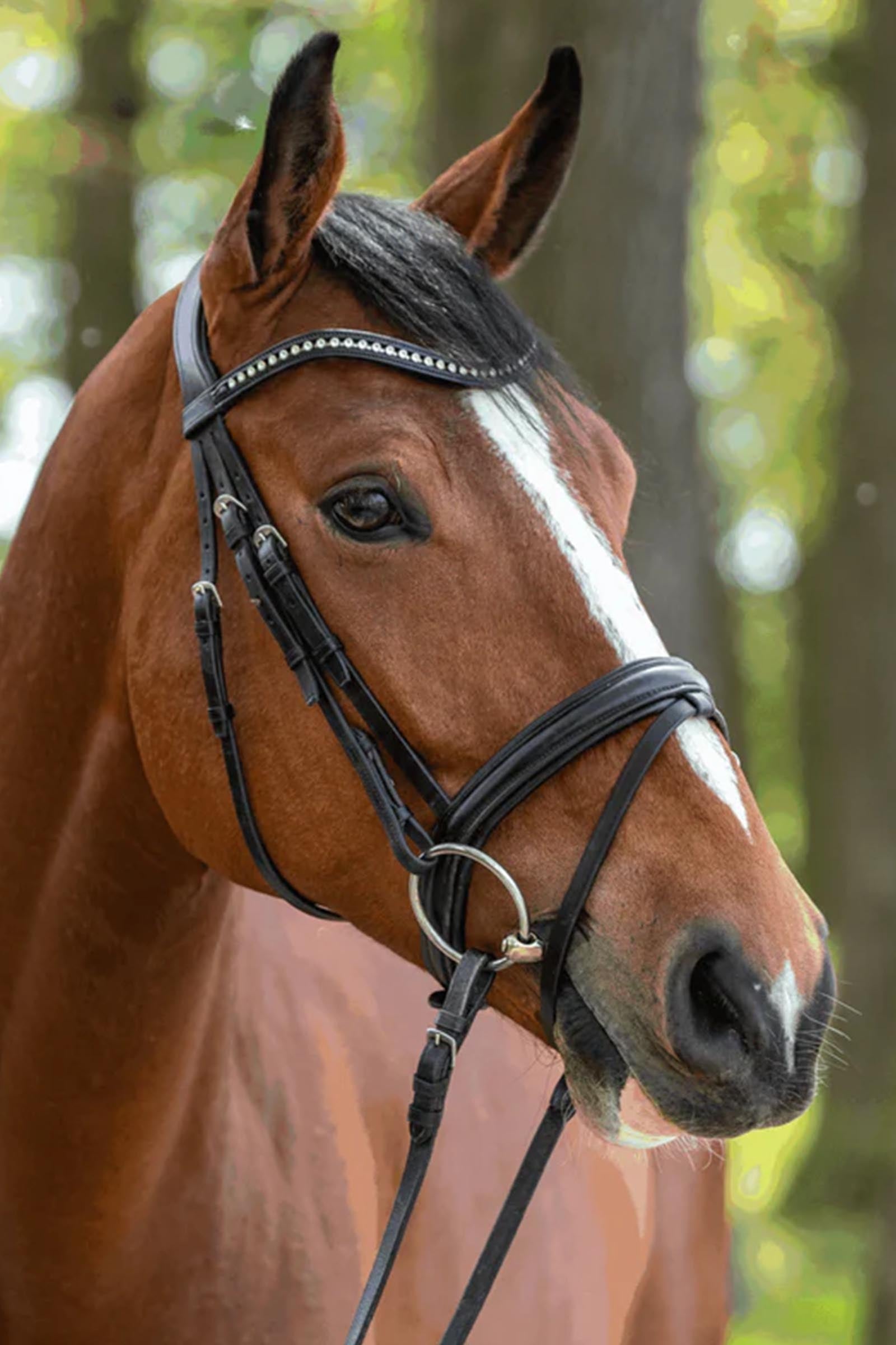 Sprenger Novocontact Loose Ring Snaffle, Single Jt. 12mm, Sensogan Horse Bits