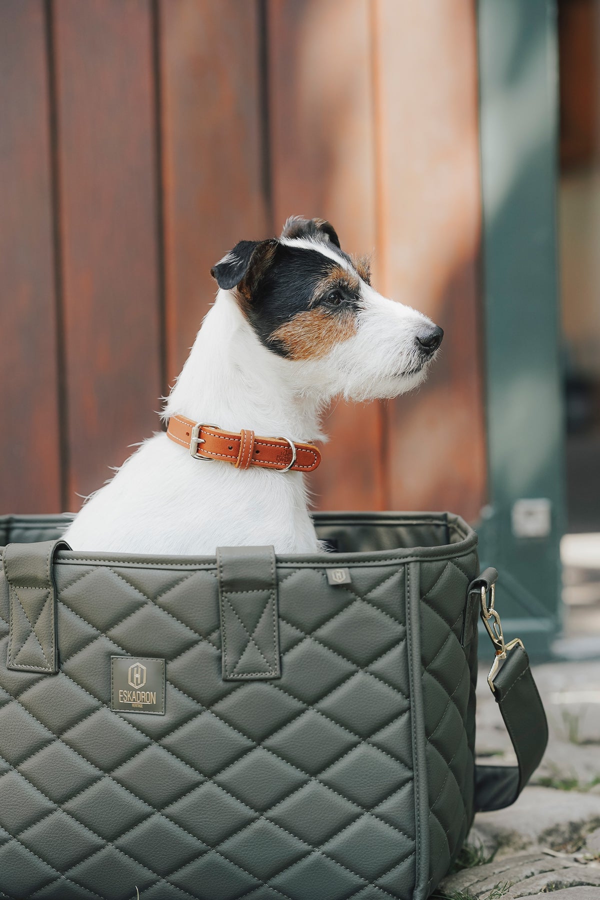 Eskadron Hunter x ESKADRON CRAFT Dog Collar Dog Accesories