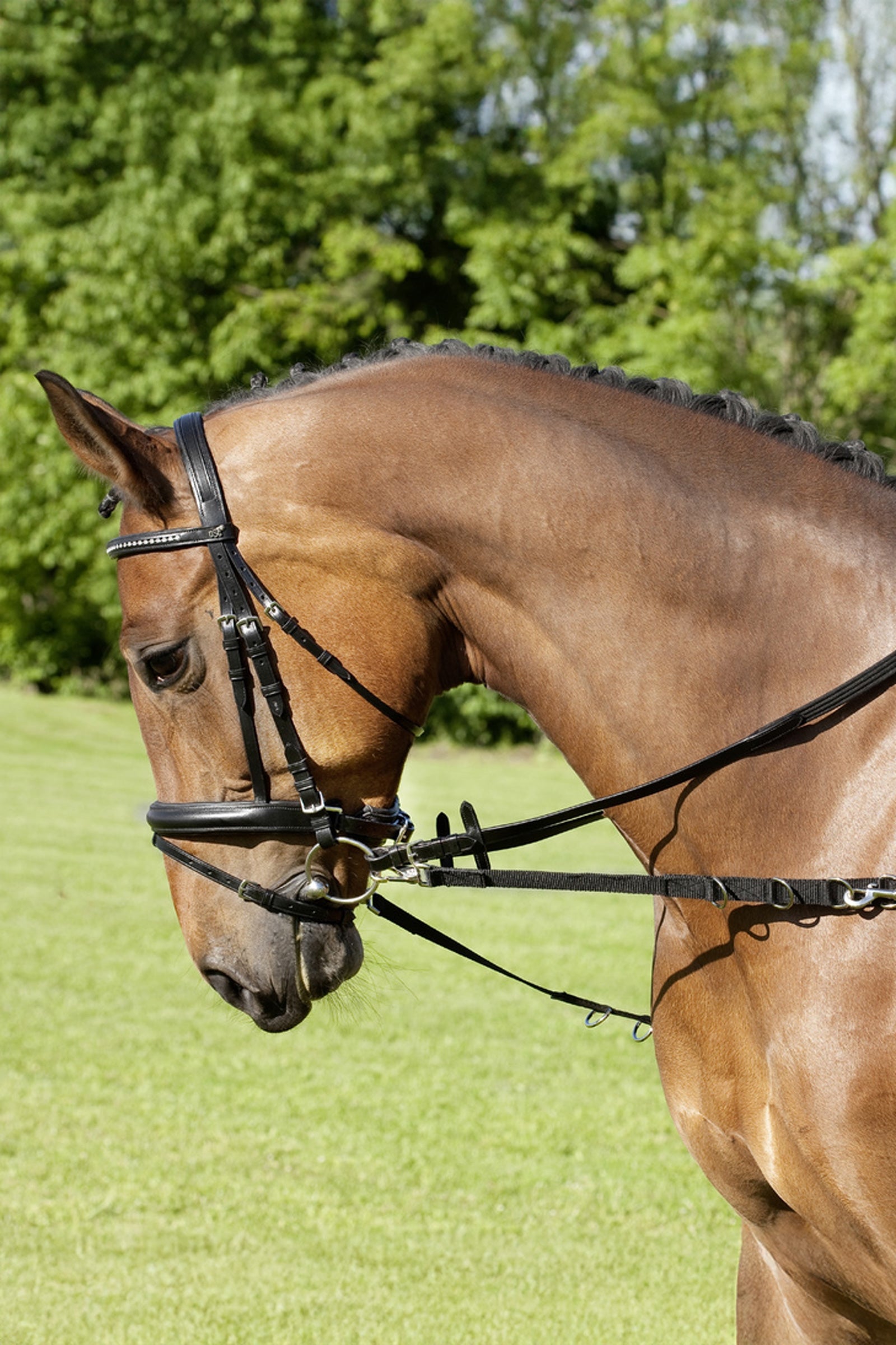 USG Nylon Side Reins With Silver Fittings Bridles & Reins