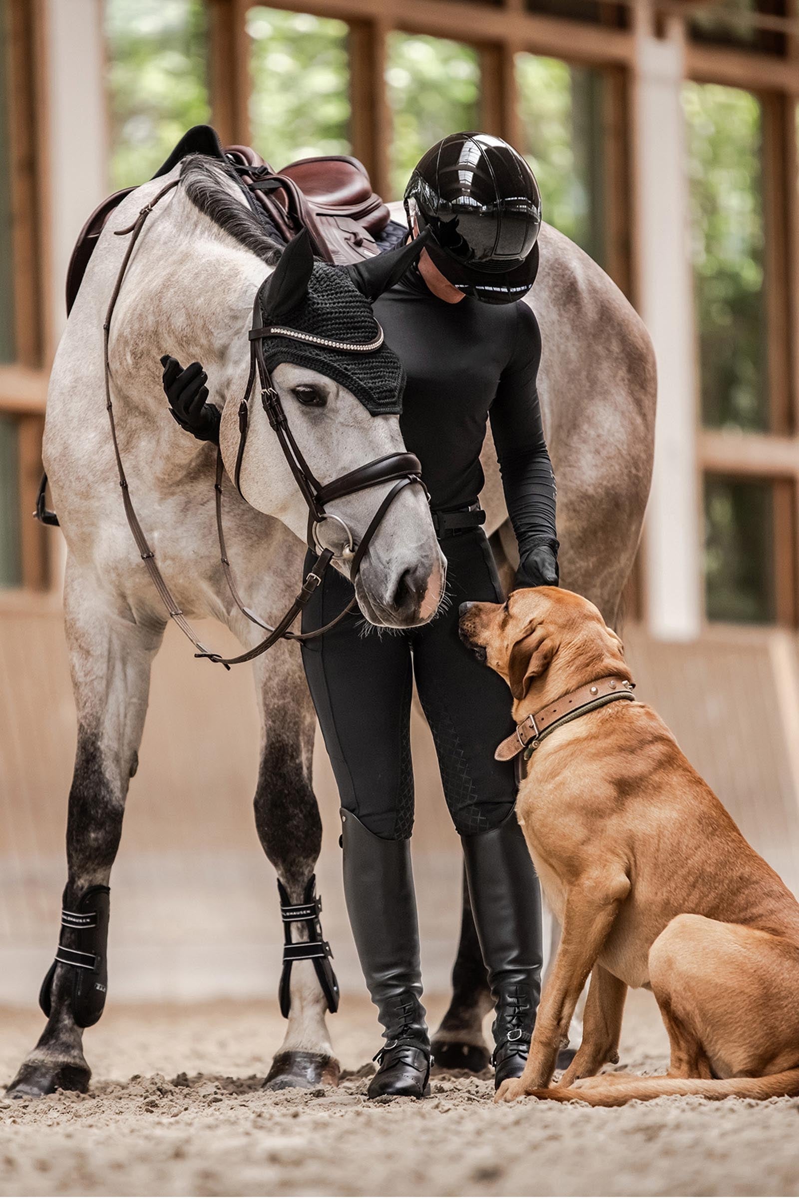 Waldhausen SWING H24 Lady Glossy Riding Helmet Safety Equipment